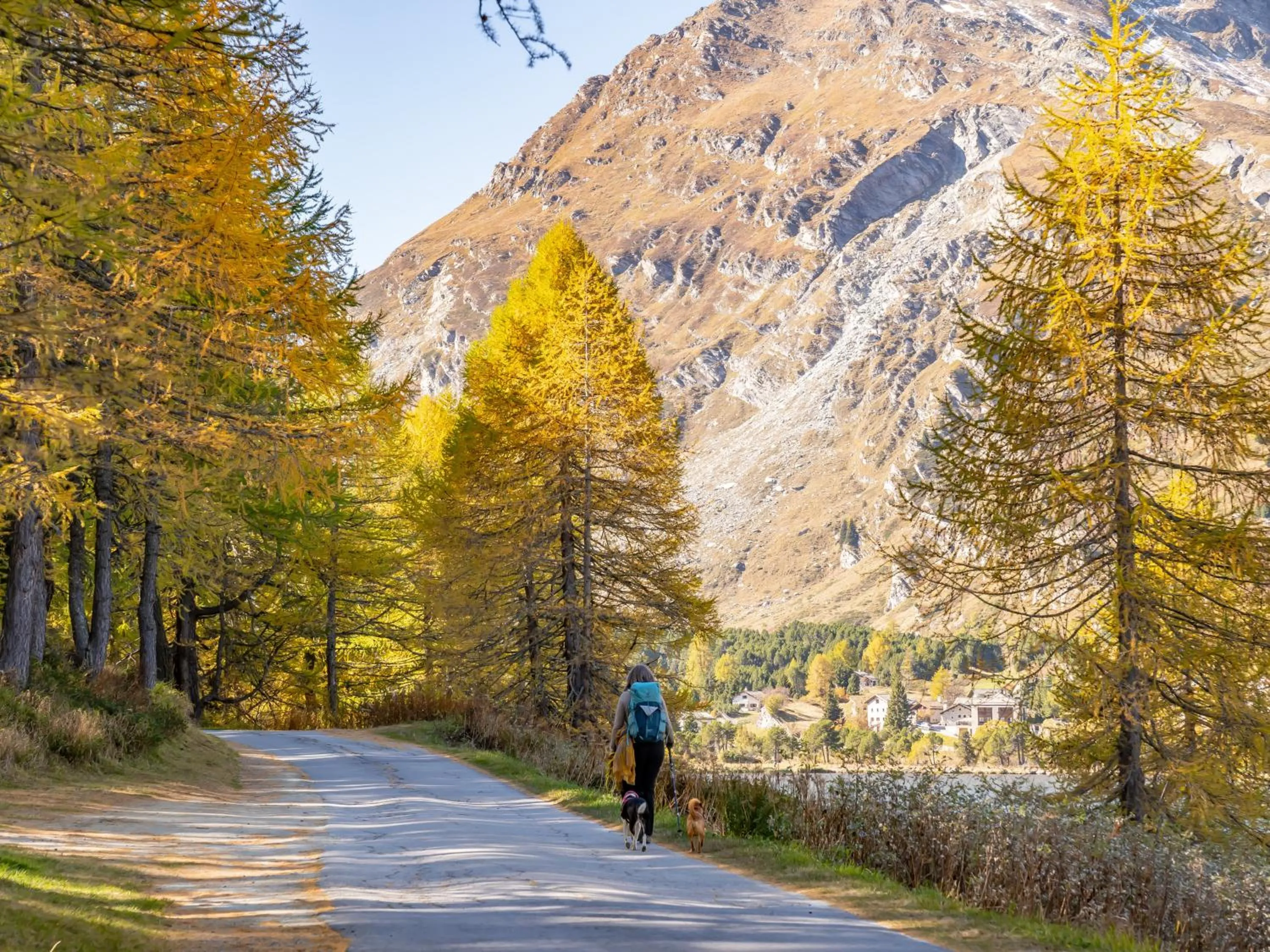 Natural landscape in Hotel Chesa Pool