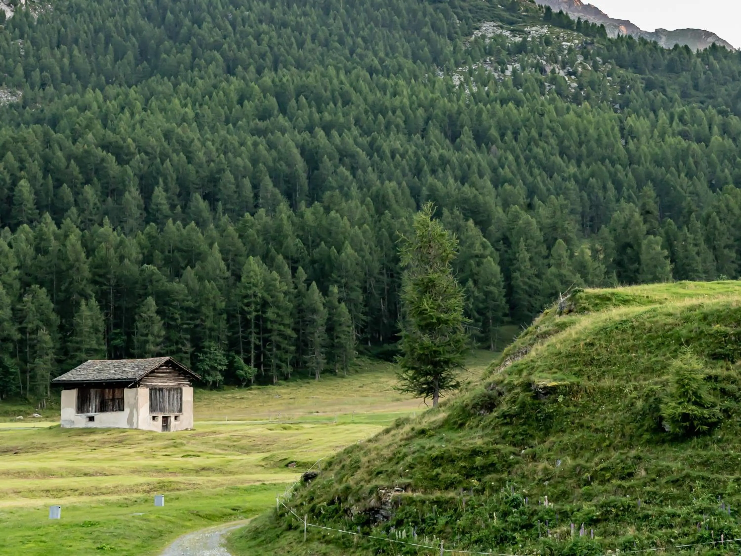Natural landscape in Hotel Chesa Pool