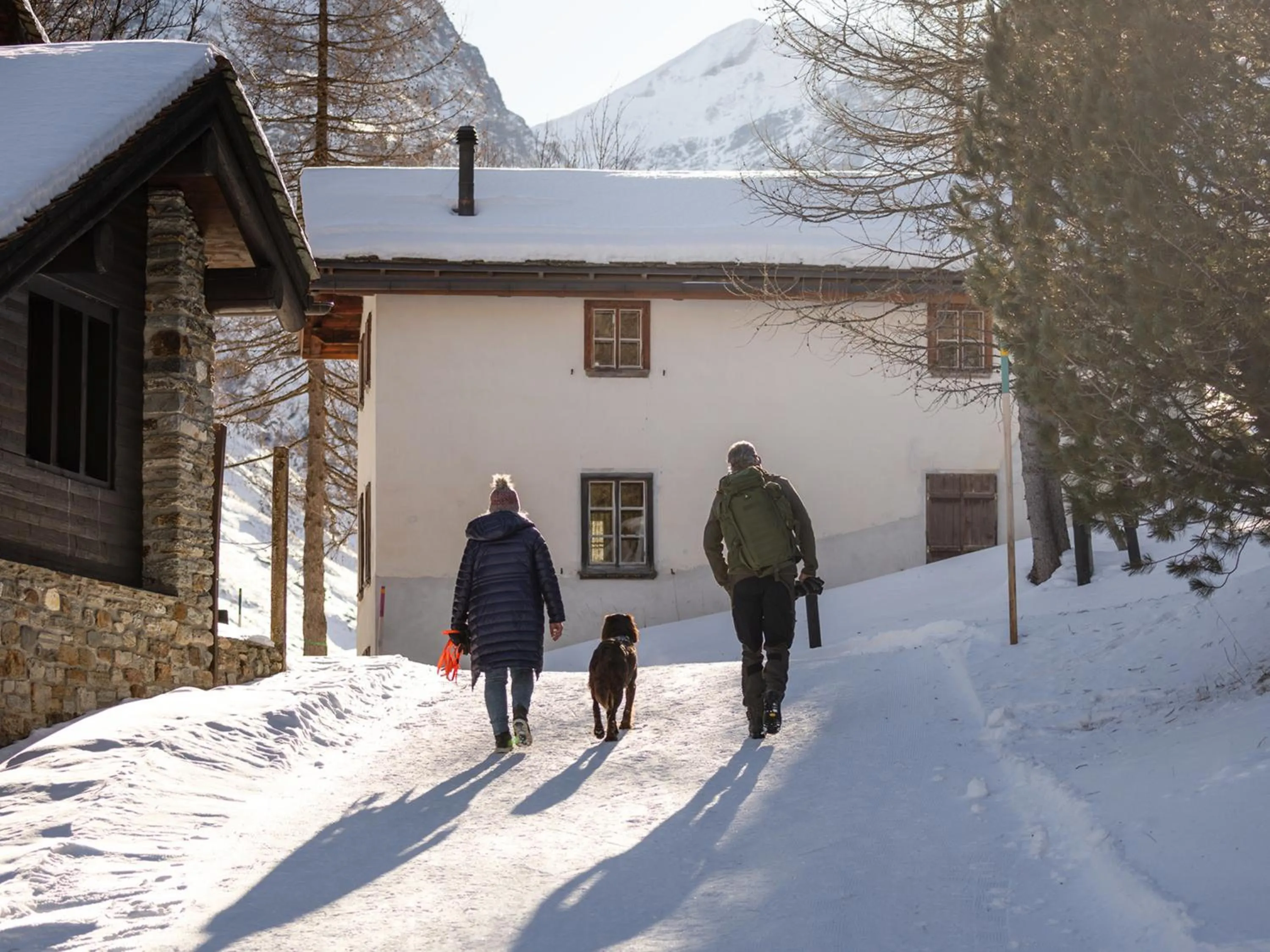 Activities in Hotel Chesa Pool