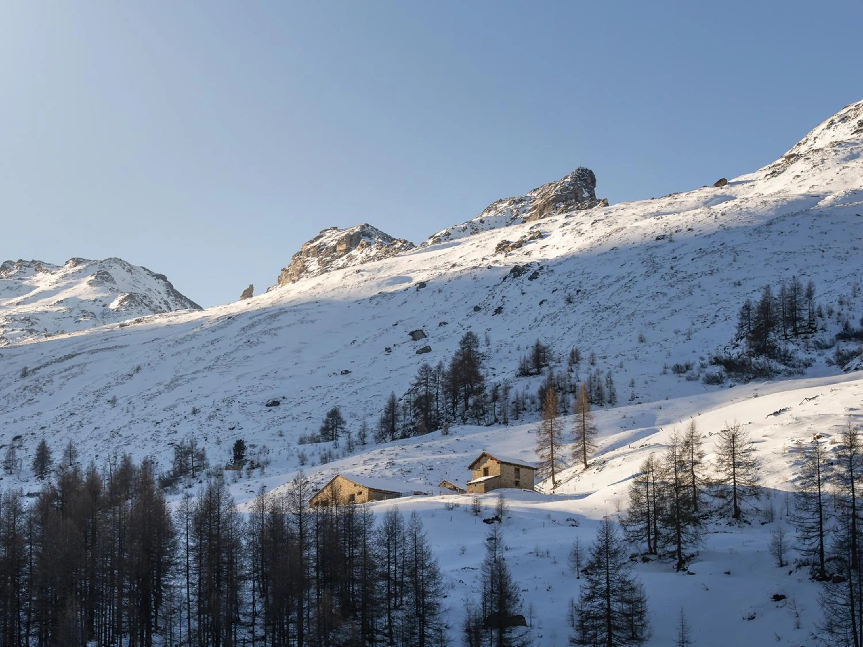 Natural landscape in Hotel Chesa Pool