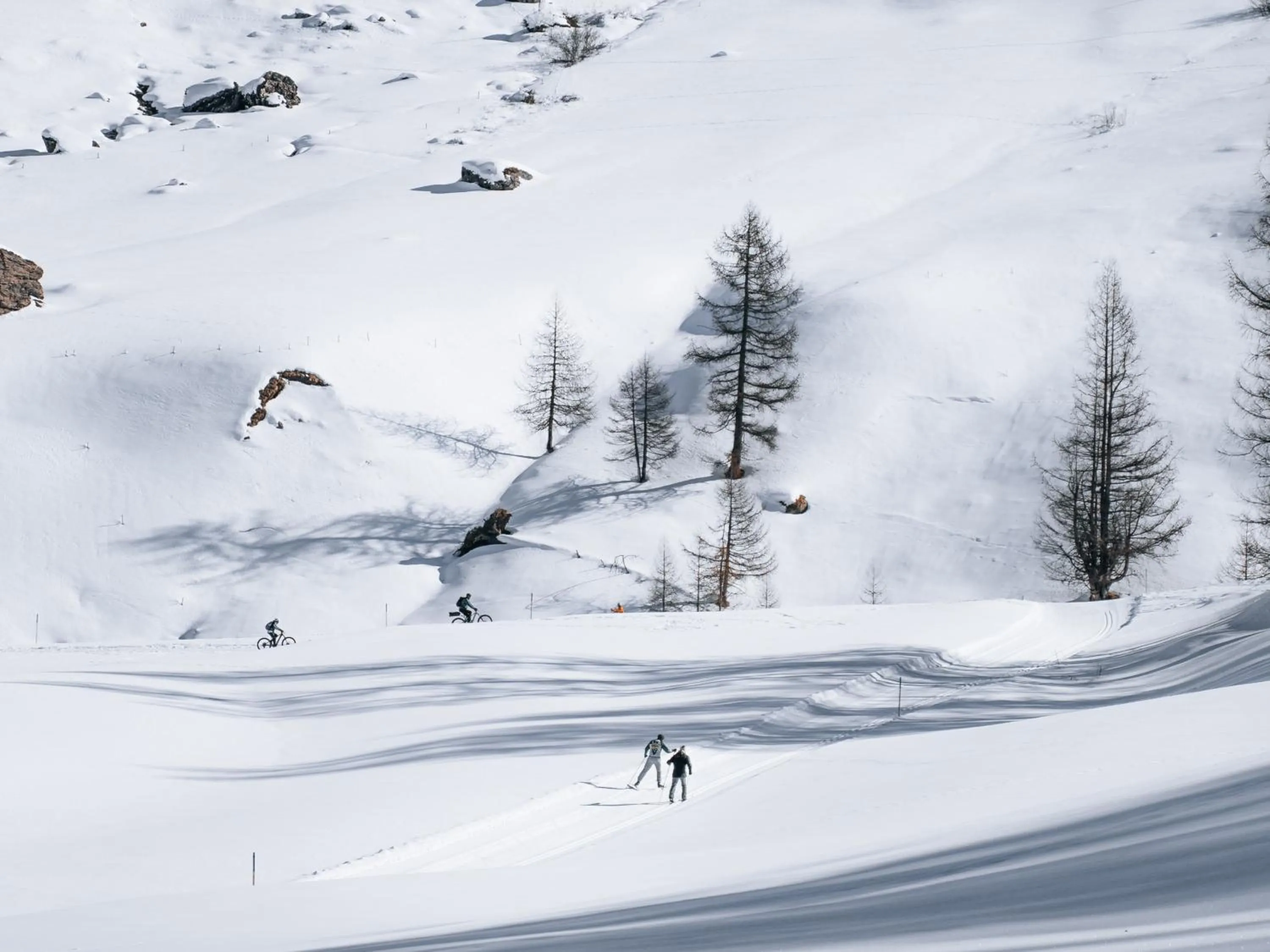 Natural landscape in Hotel Chesa Pool