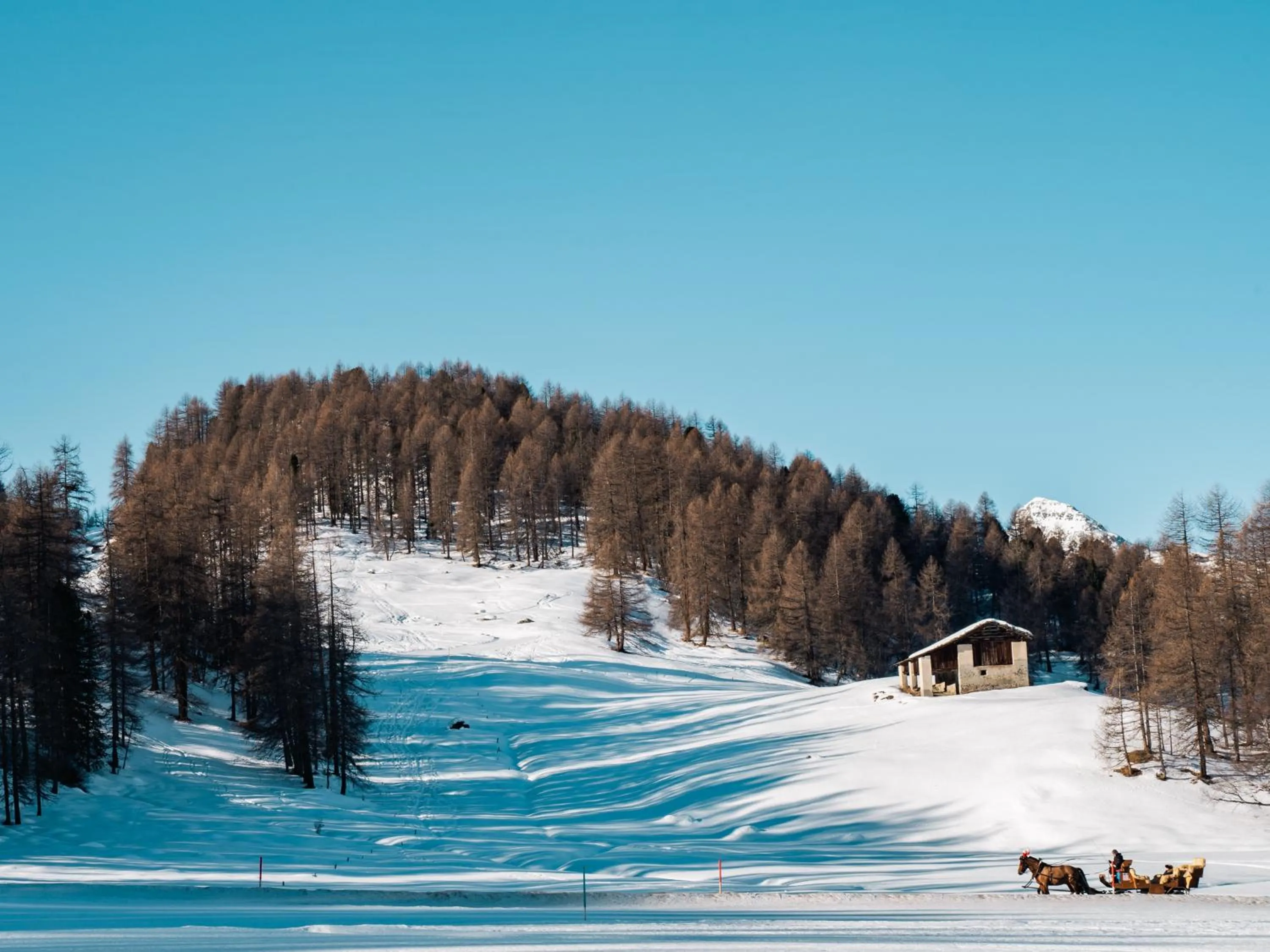 Natural landscape in Hotel Chesa Pool