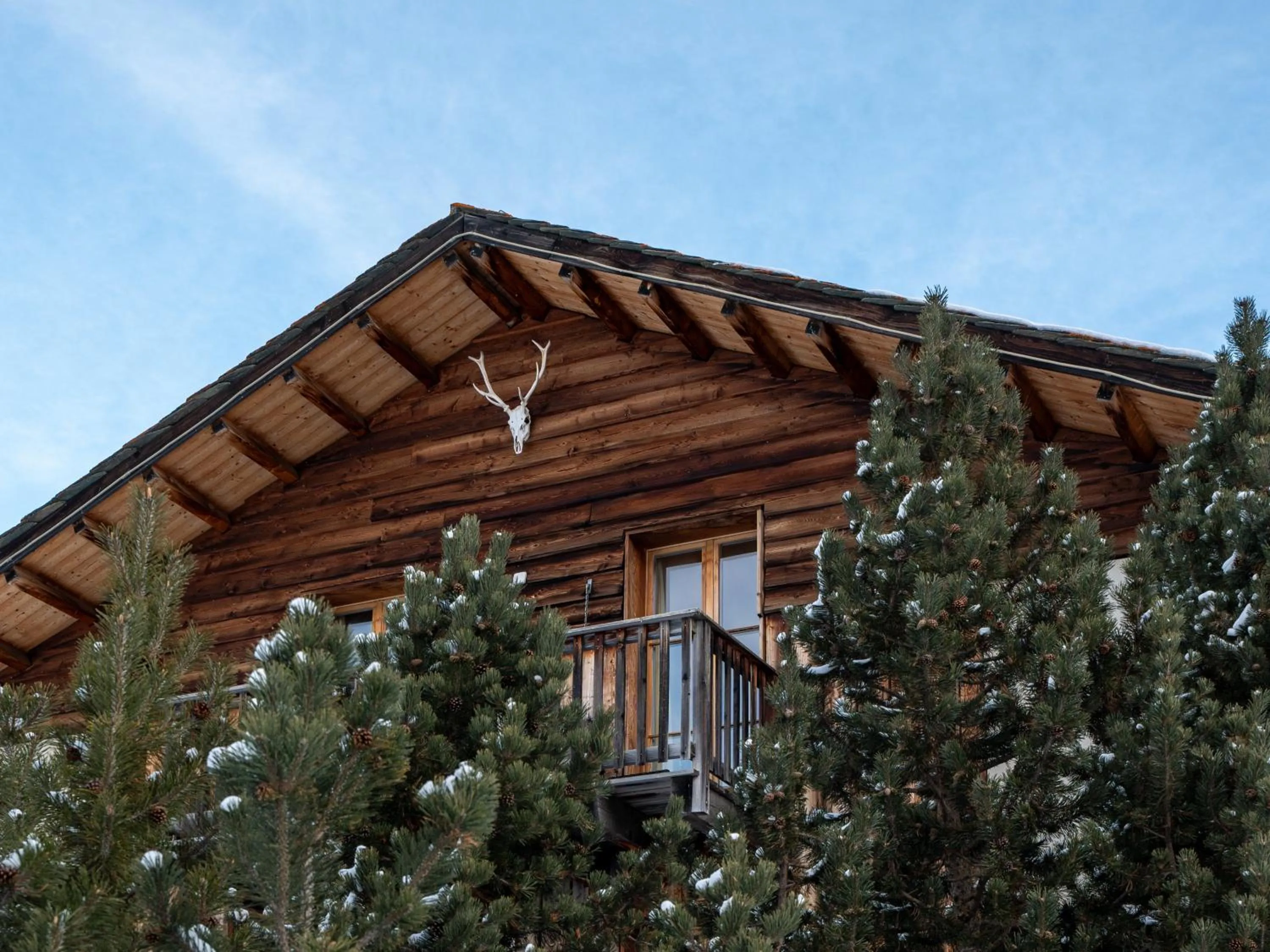 Property building in Hotel Chesa Pool