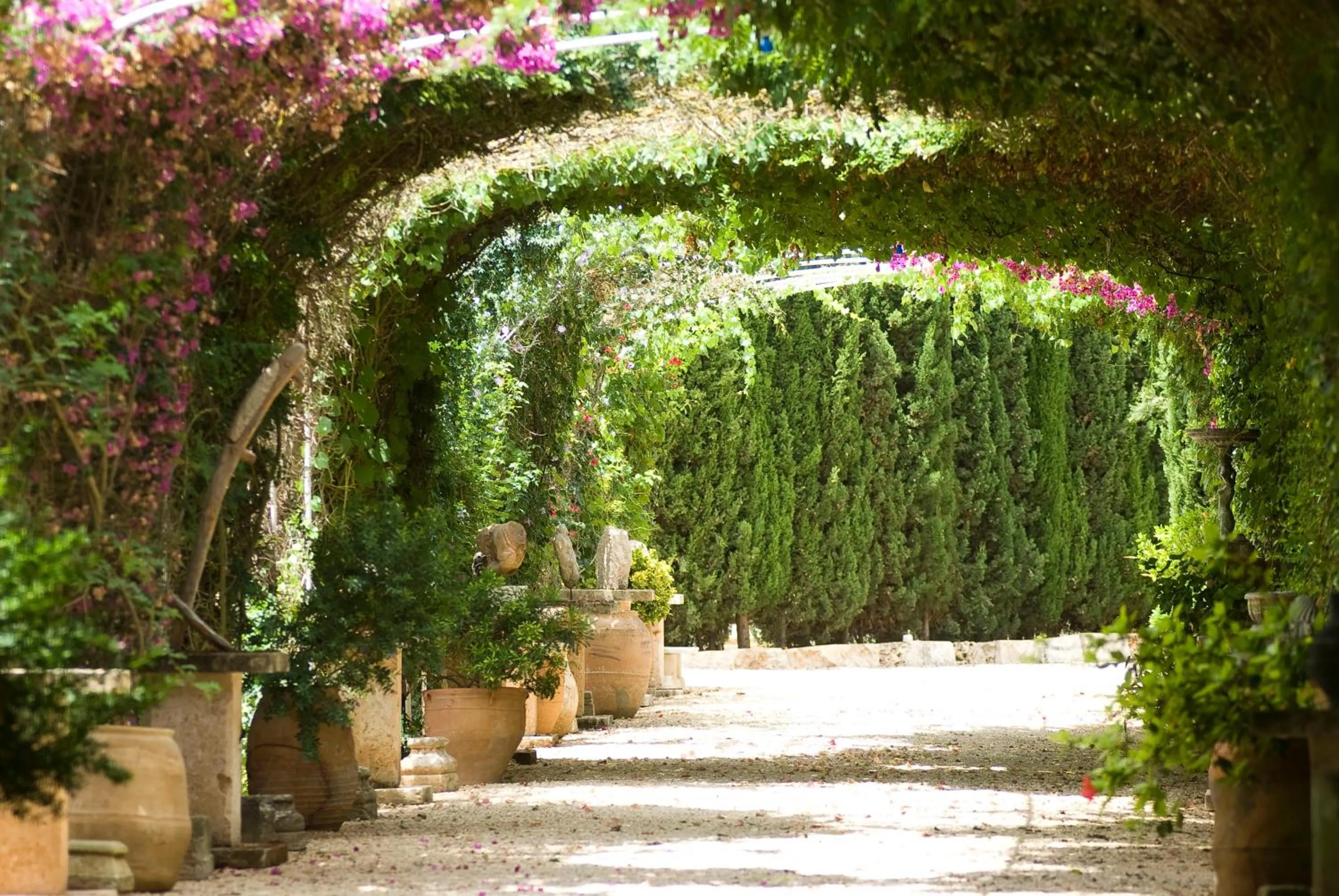 Garden in Es Revellar Art Resort - Adults Only