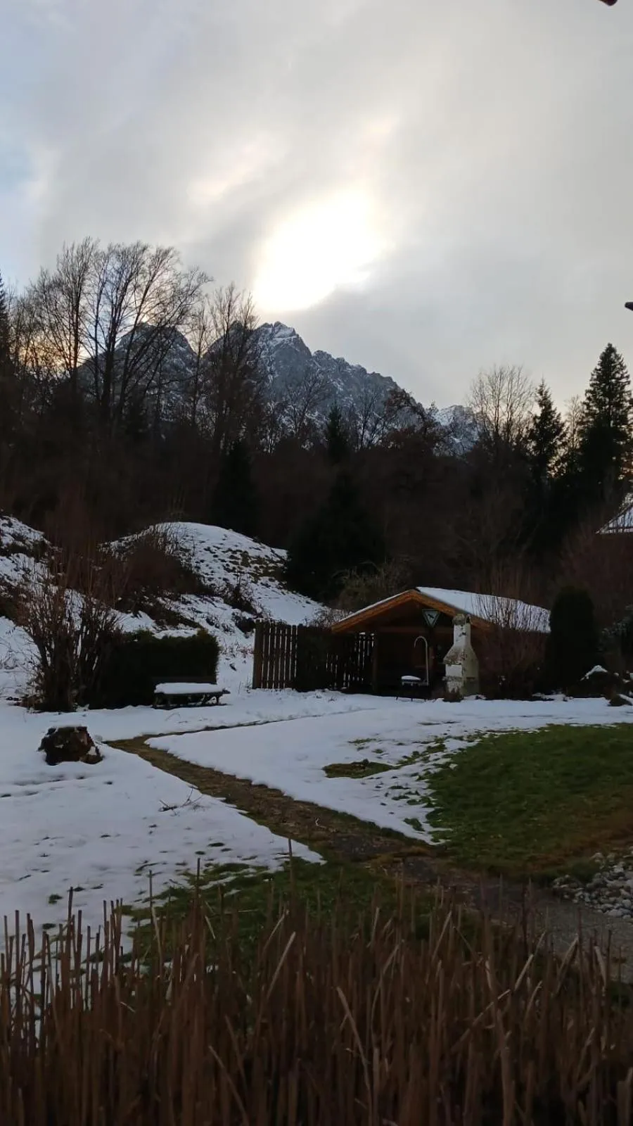 Garden in Hotel Alpspitz B&B