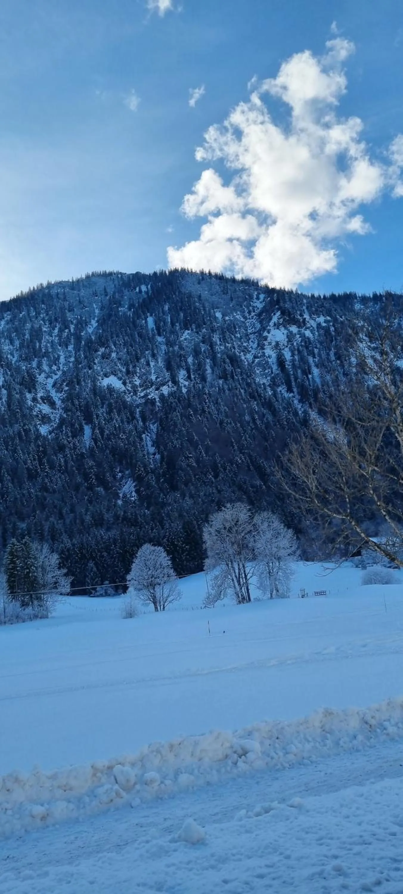 Nearby landmark in Hotel Alpspitz B&B