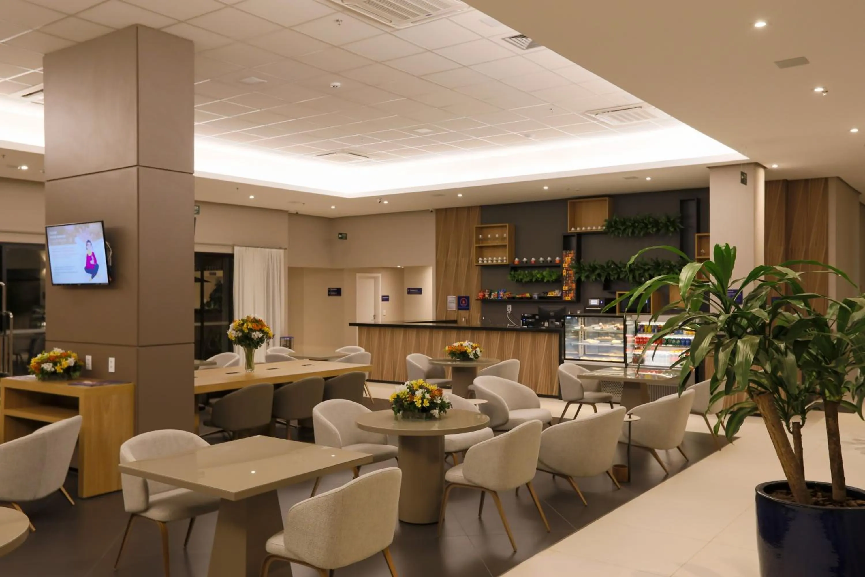 Lobby or reception in Comfort Suites São José do Rio Preto