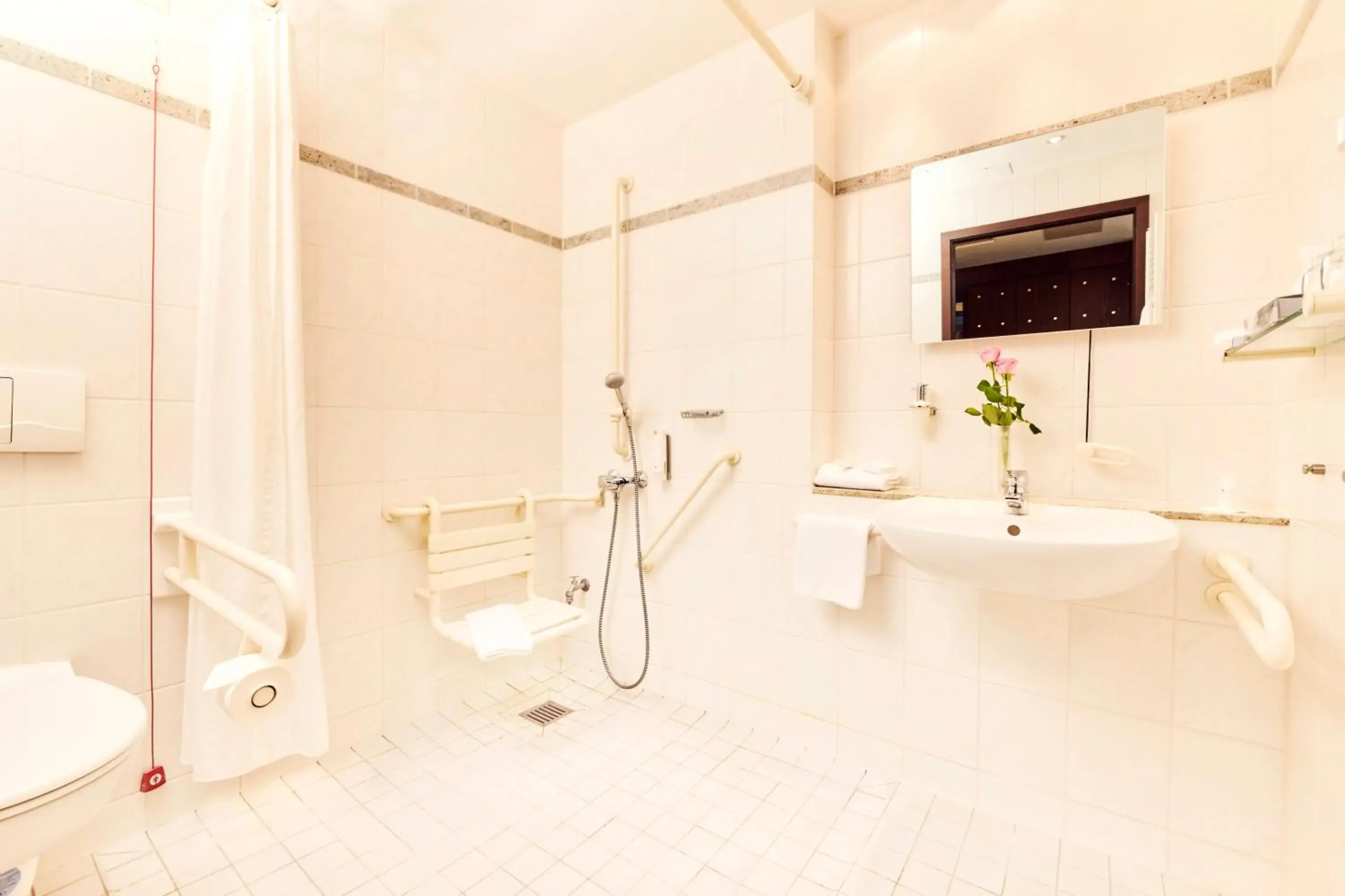 Executive Queen Room with Roll-In Shower - Disability in Best Western Soibelmanns Lutherstadt Wittenberg Executive Queen Room with Roll-In Shower - Disability in Best Western Soibelmanns Lutherstadt Wittenberg