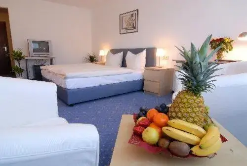 Double Room in HAK Hotel am Klostersee Double Room in HAK Hotel am Klostersee