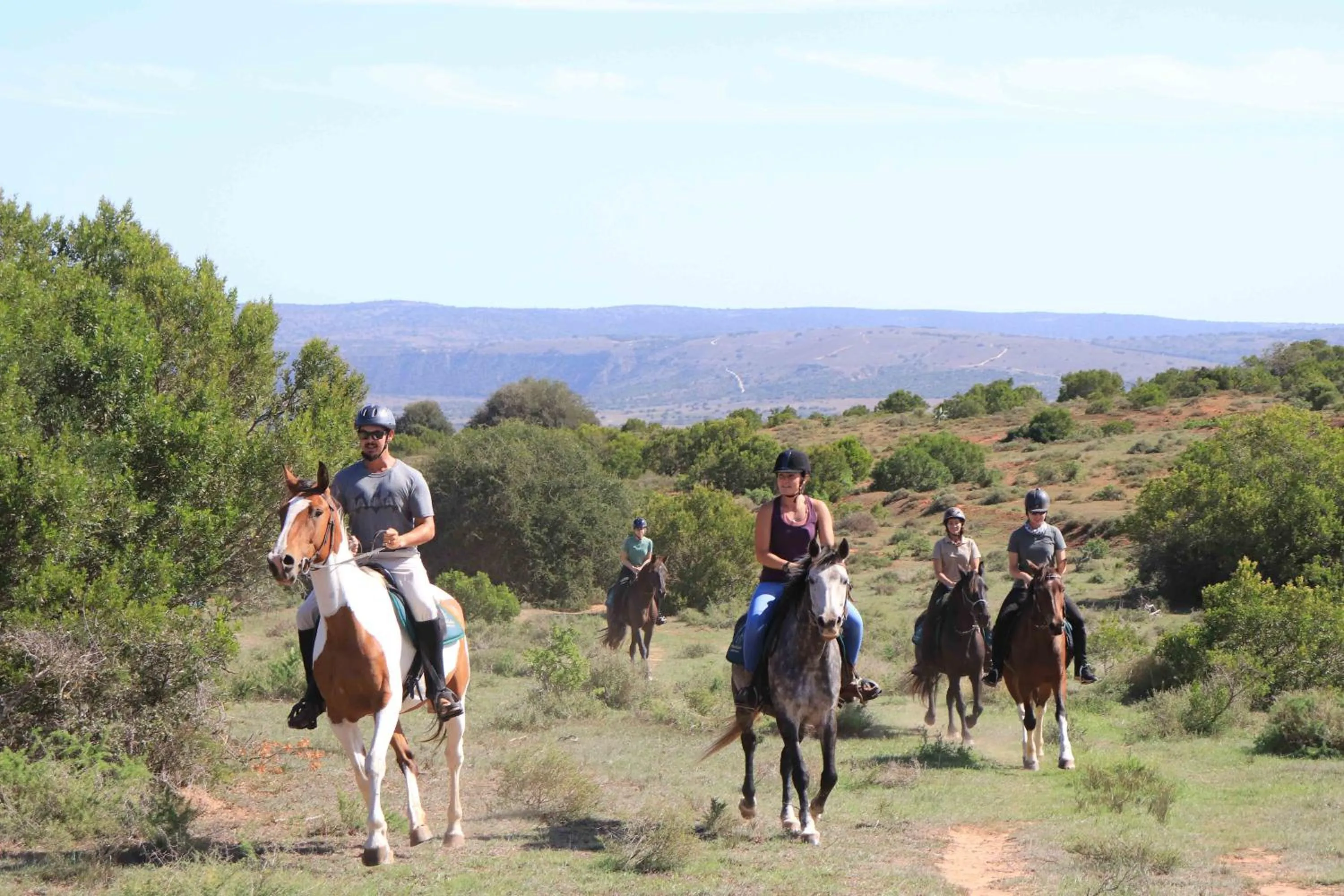Activities in Woodbury Lodge – Amakhala Game Reserve