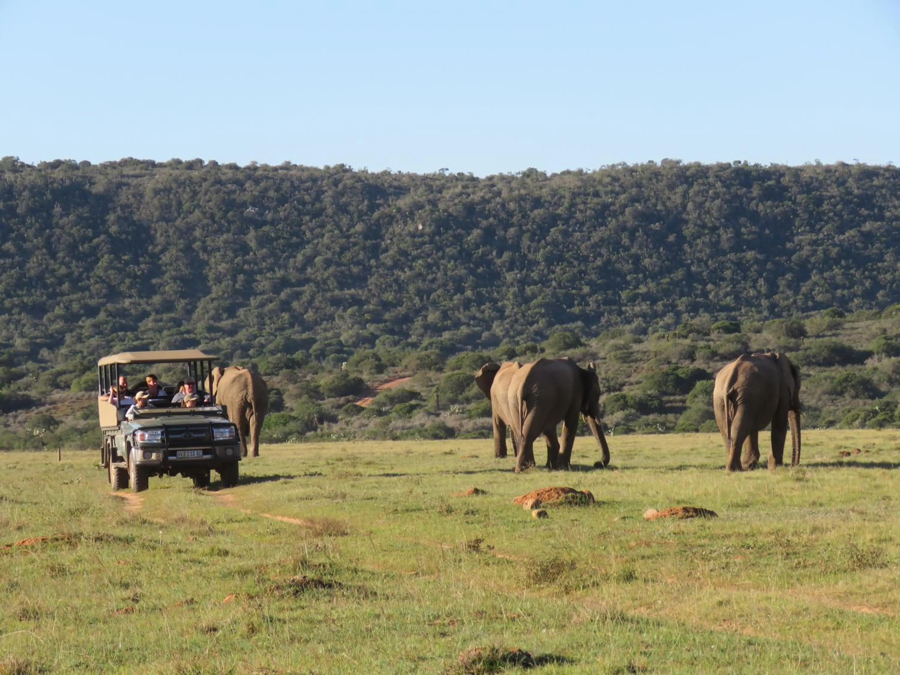 Activities in Woodbury Lodge – Amakhala Game Reserve