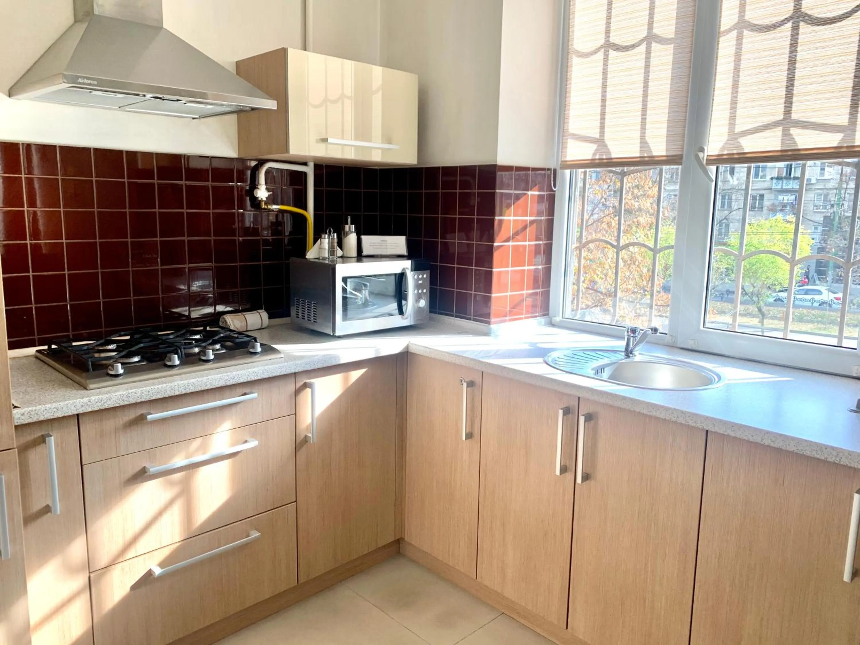 Kitchen or kitchenette in Aparthotel