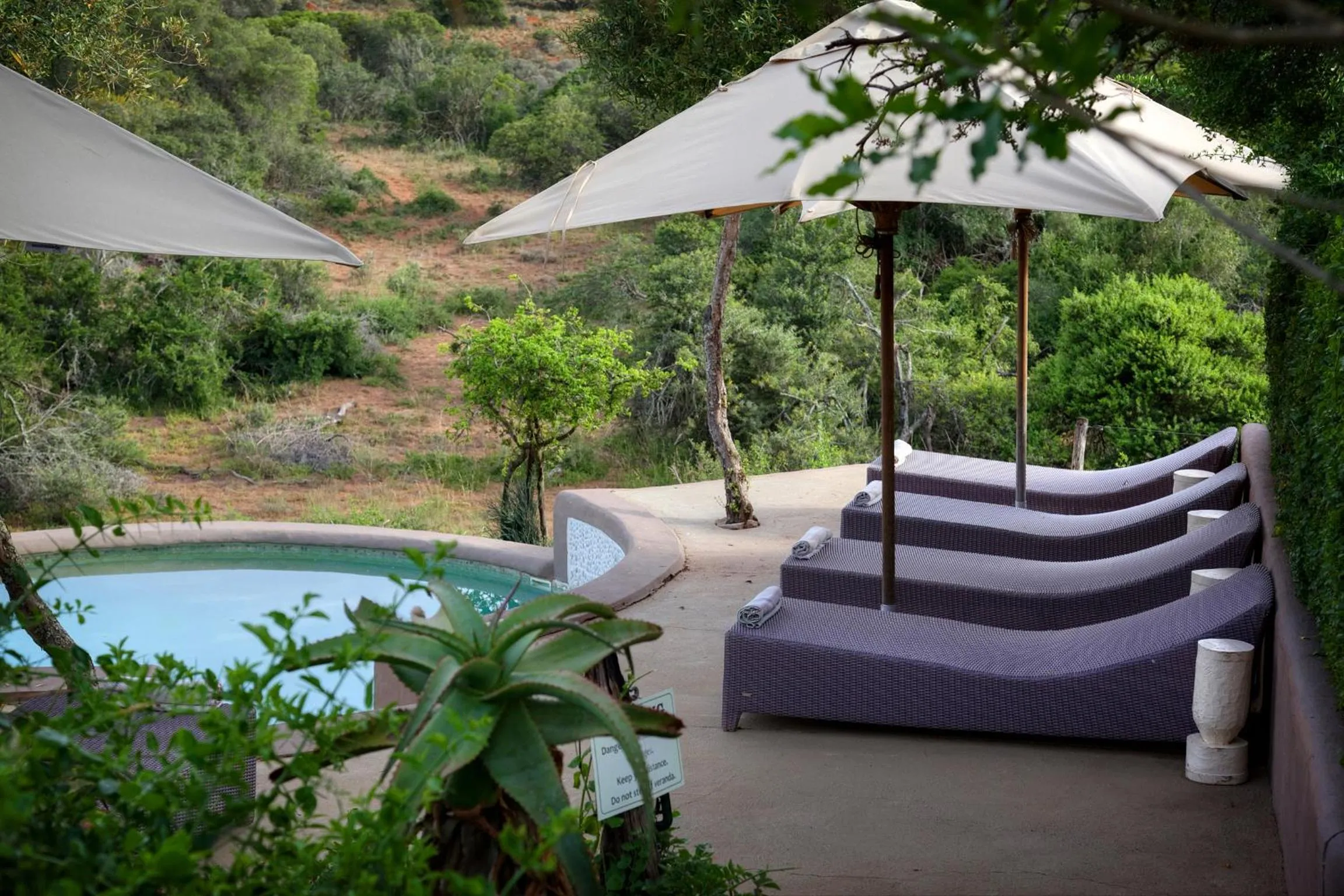 Swimming pool in Safari Lodge - Amakhala Game Reserve