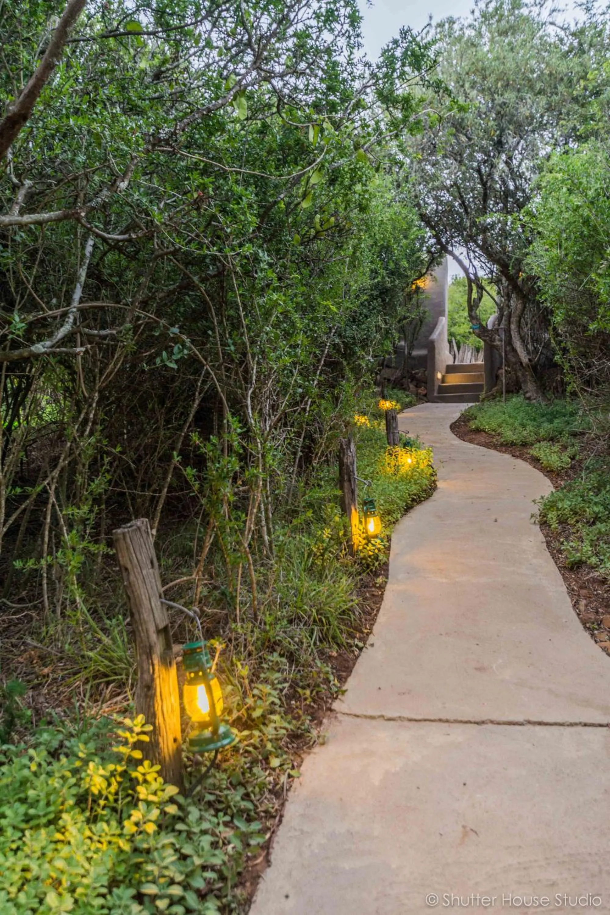 Natural landscape in Safari Lodge - Amakhala Game Reserve
