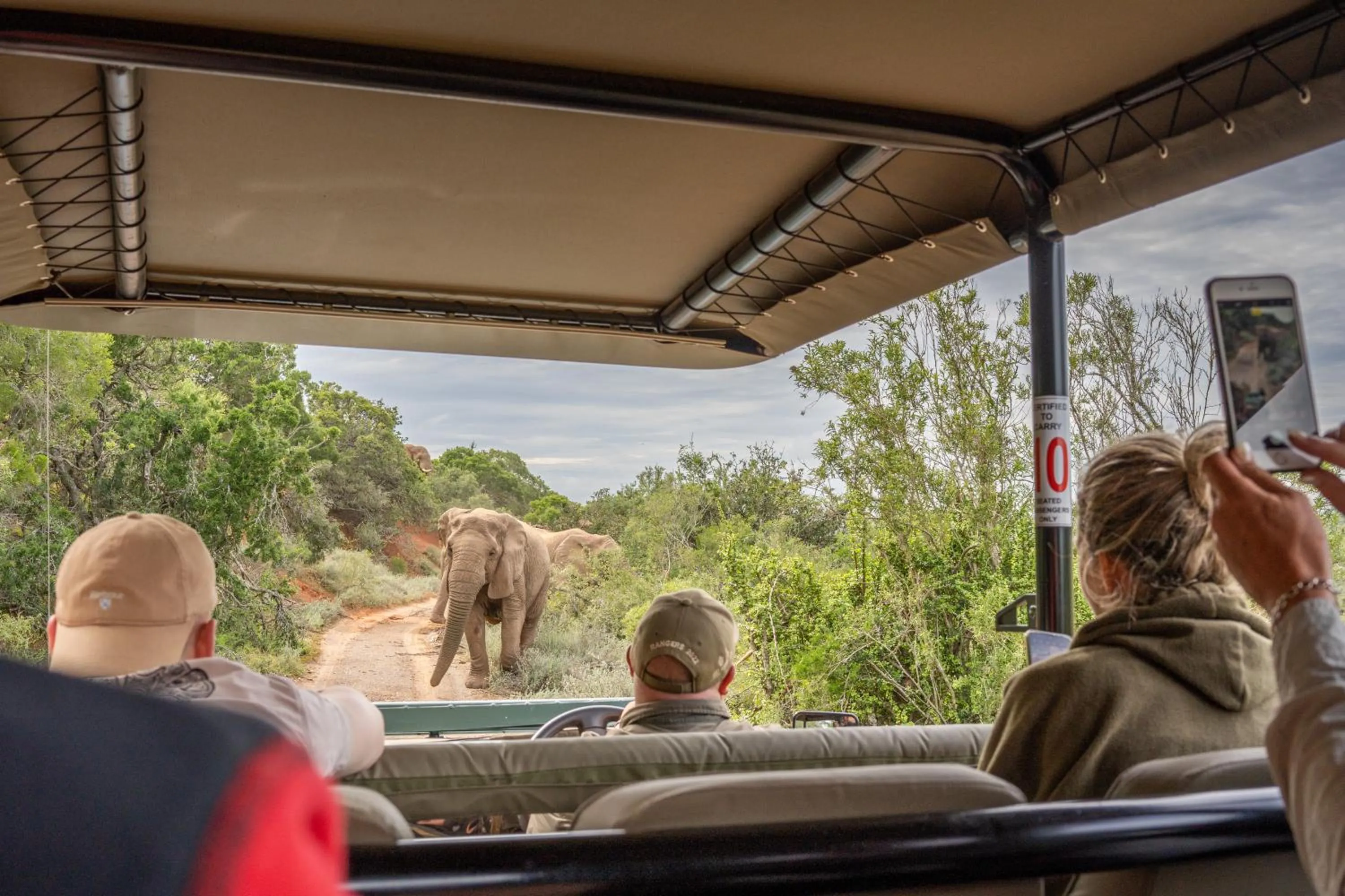 Activities in Safari Lodge - Amakhala Game Reserve