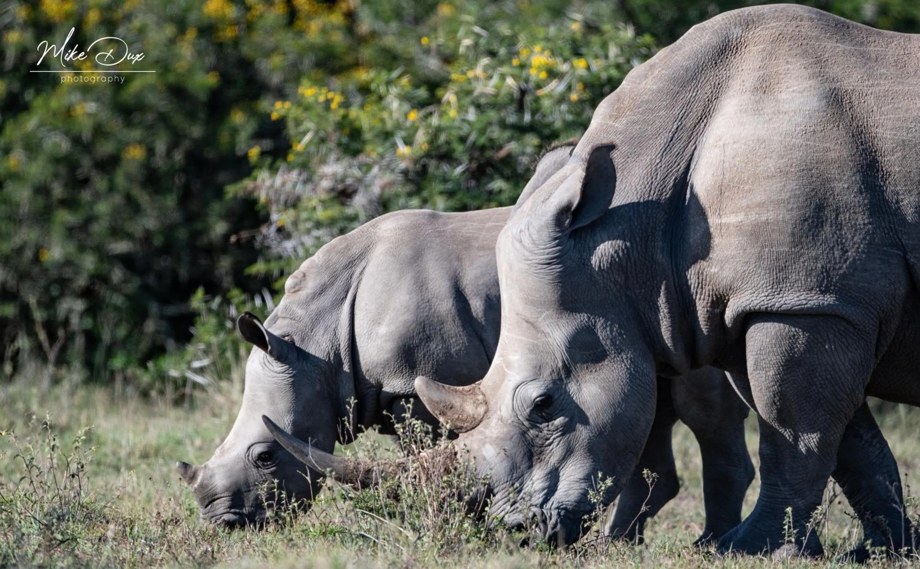Activities in Safari Lodge - Amakhala Game Reserve