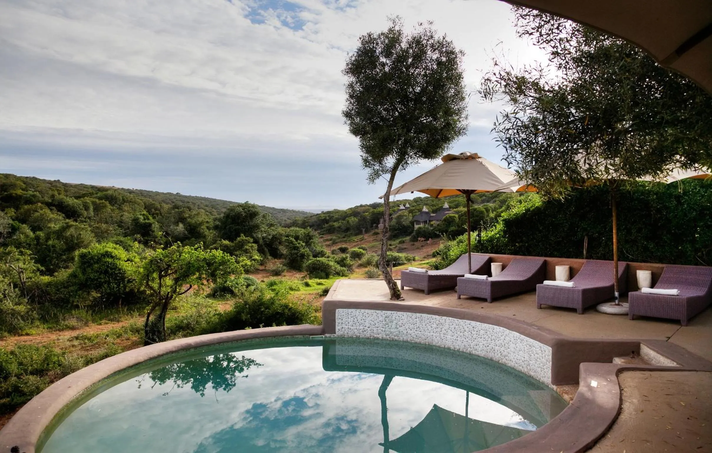 Swimming pool in Safari Lodge - Amakhala Game Reserve