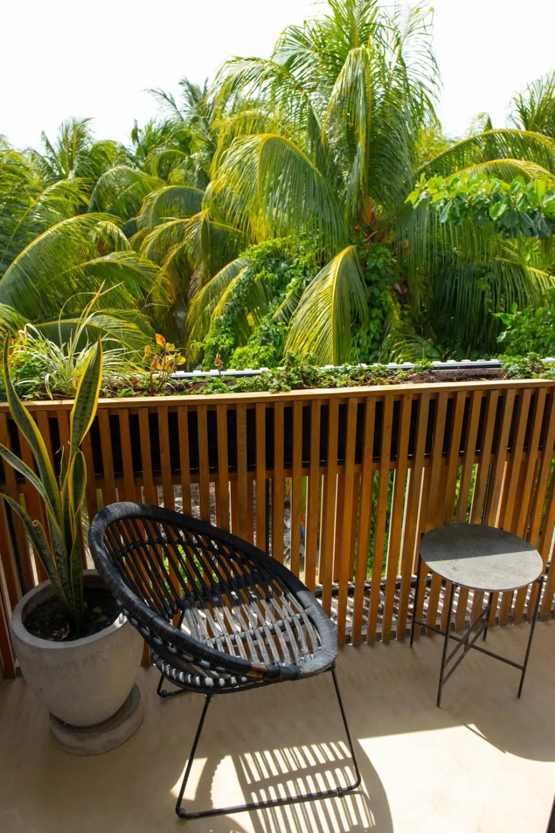Inner courtyard view in Casa Peregrino Holbox