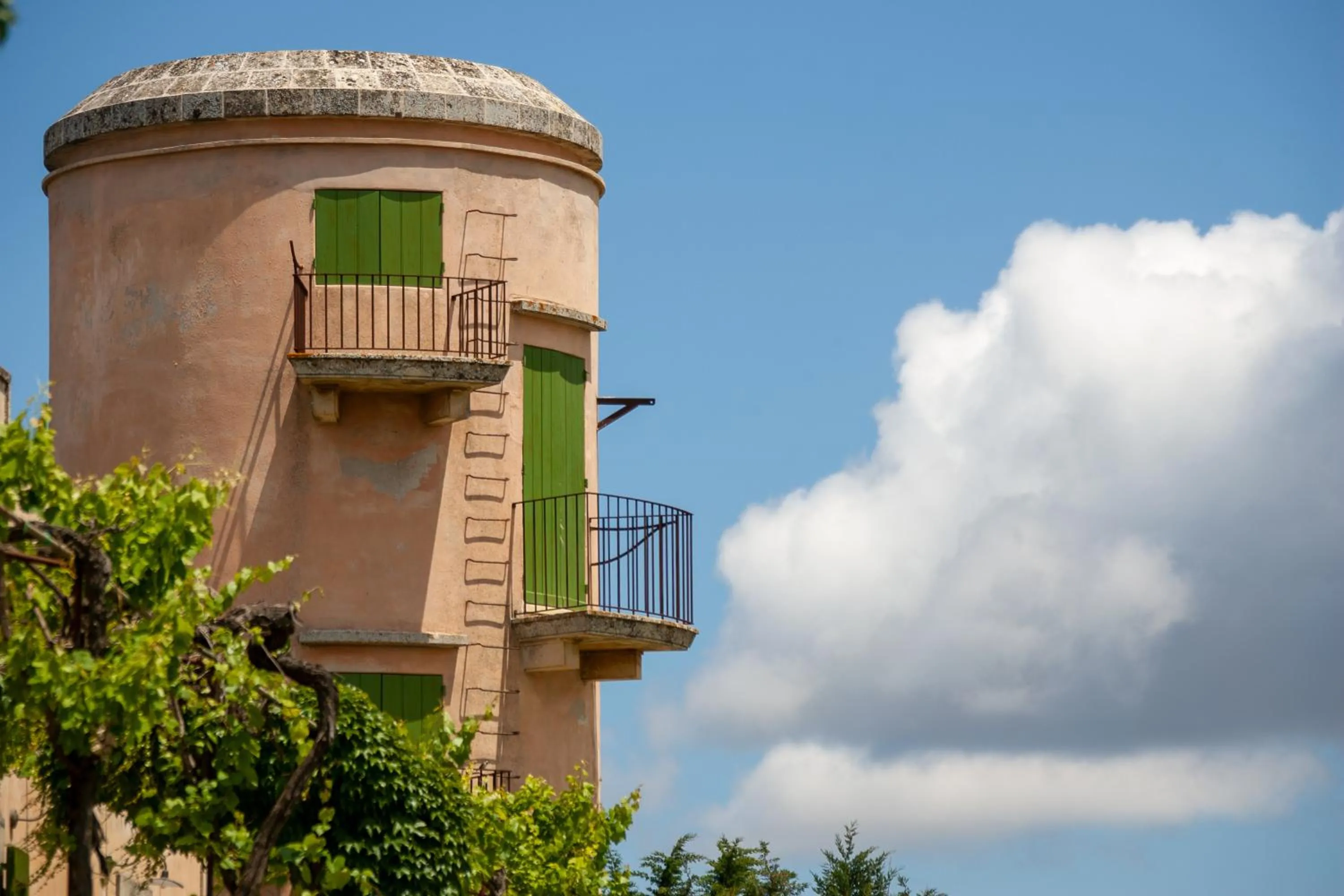 Garden in Naturalis Bio Resort