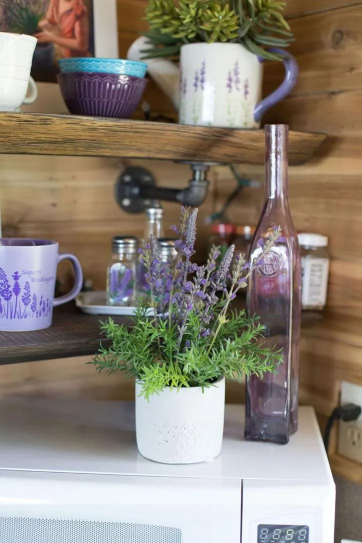 Dungeness Bay Cottages