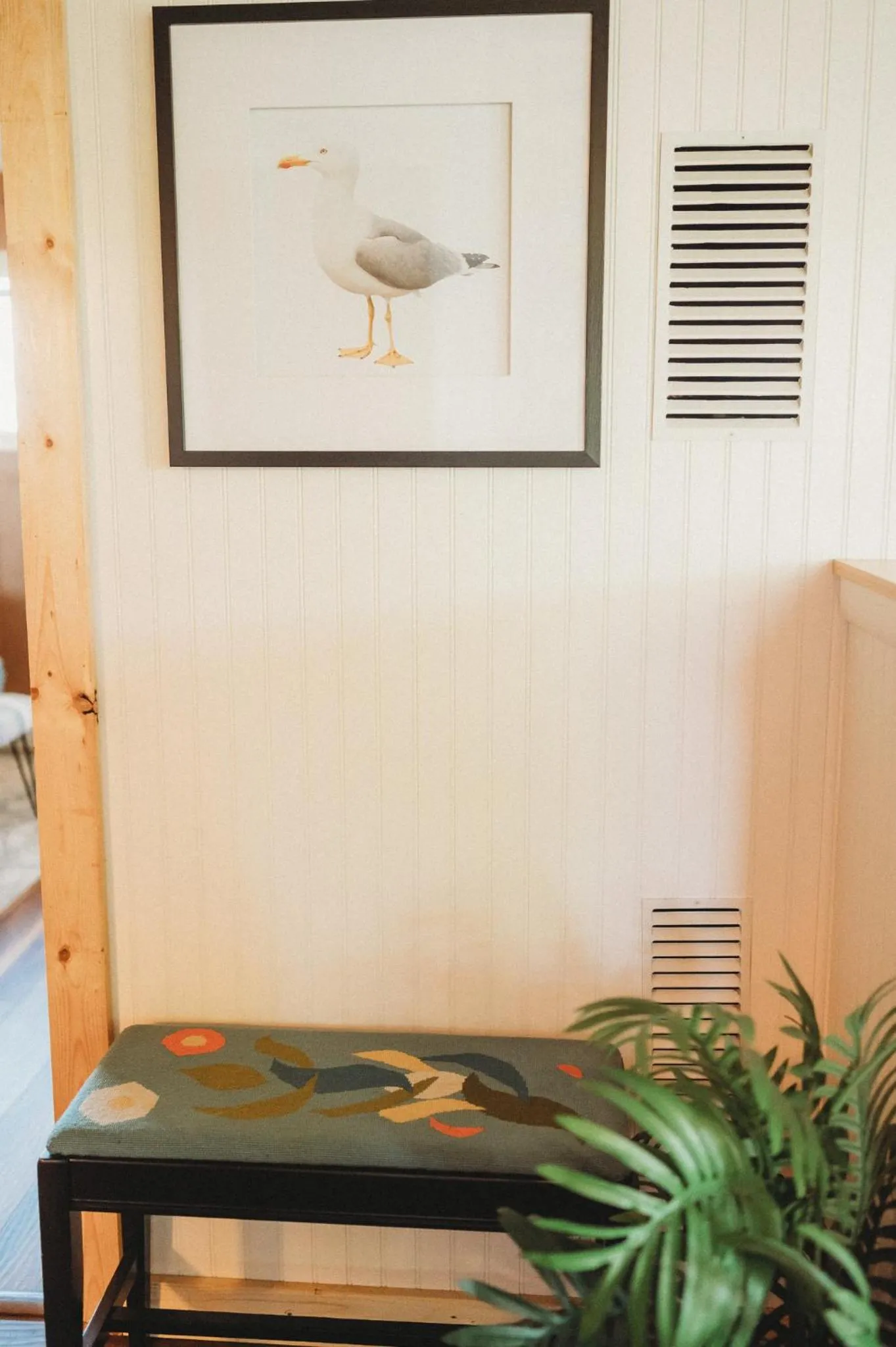 Dungeness Bay Cottages