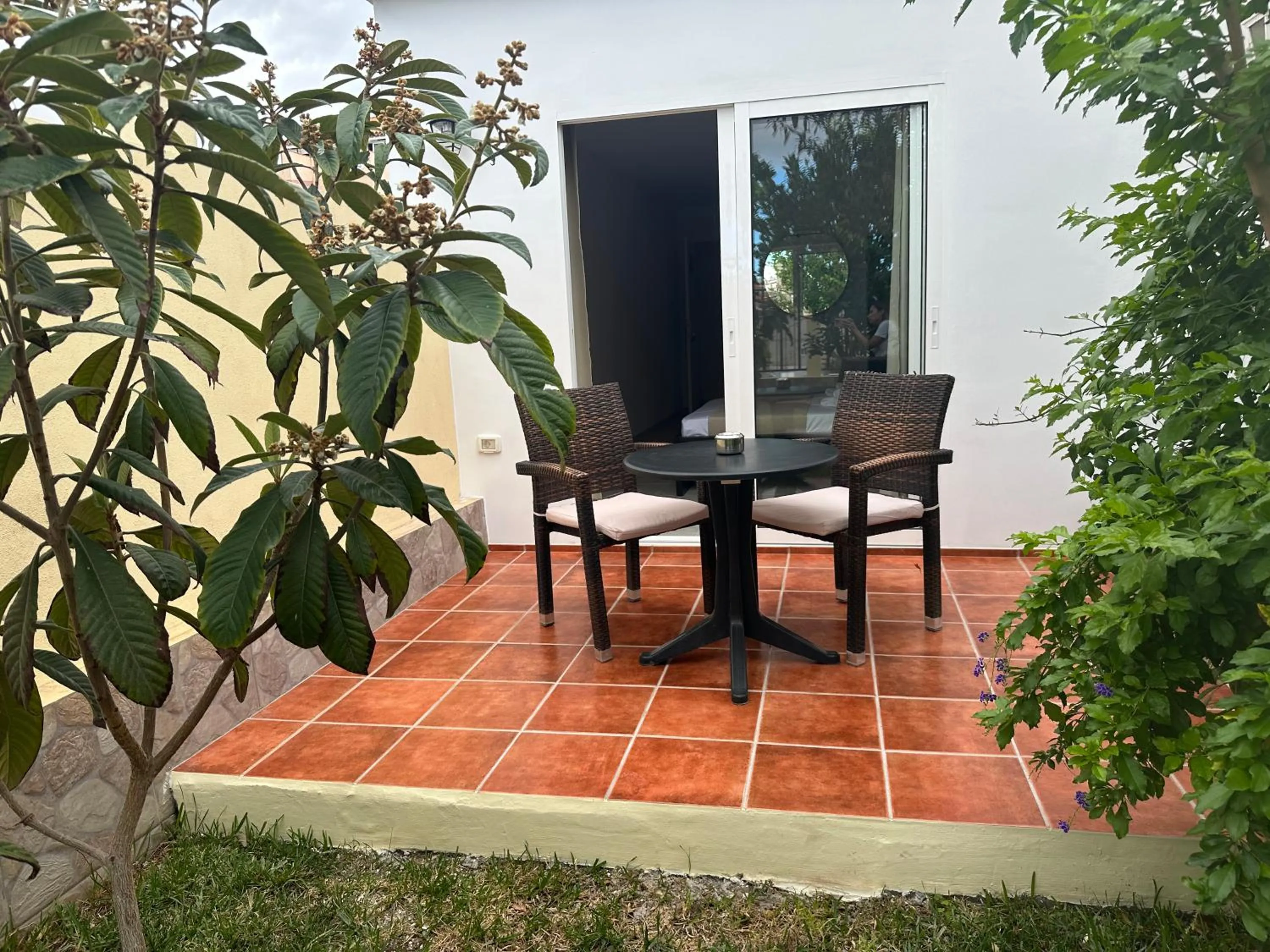 Garden in Villa 8 Islas