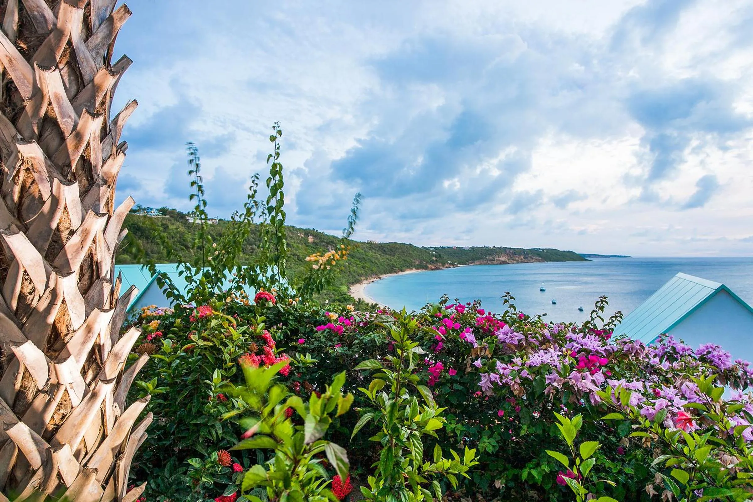 Property building in CeBlue Villas