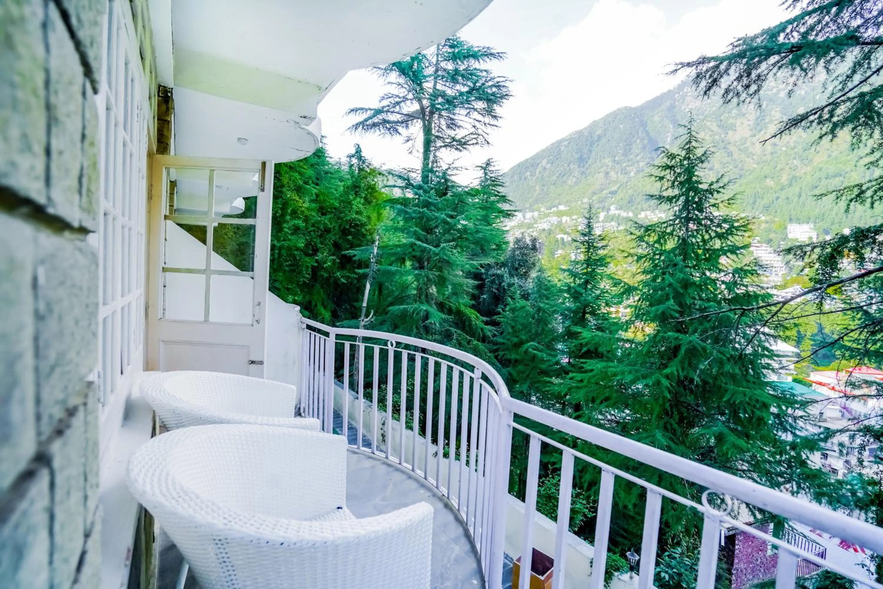 Spring in The Bunksters Mcleodganj, Dharmkot