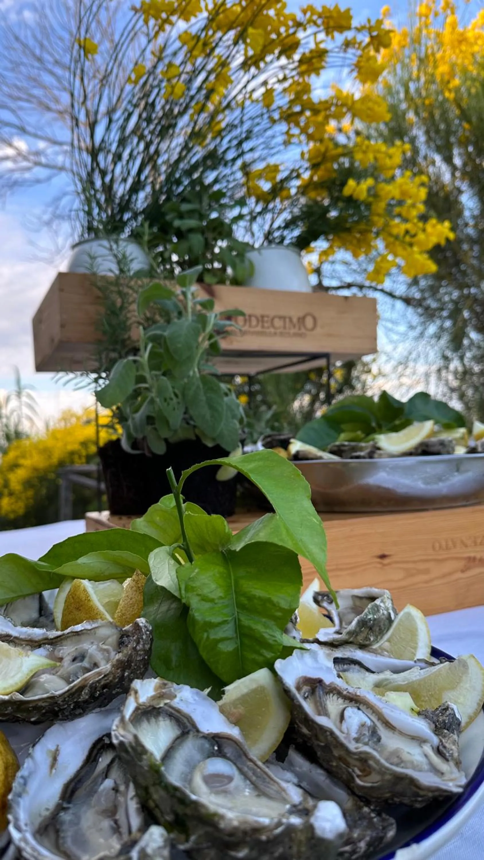 Hotel Borgo Cacciatori