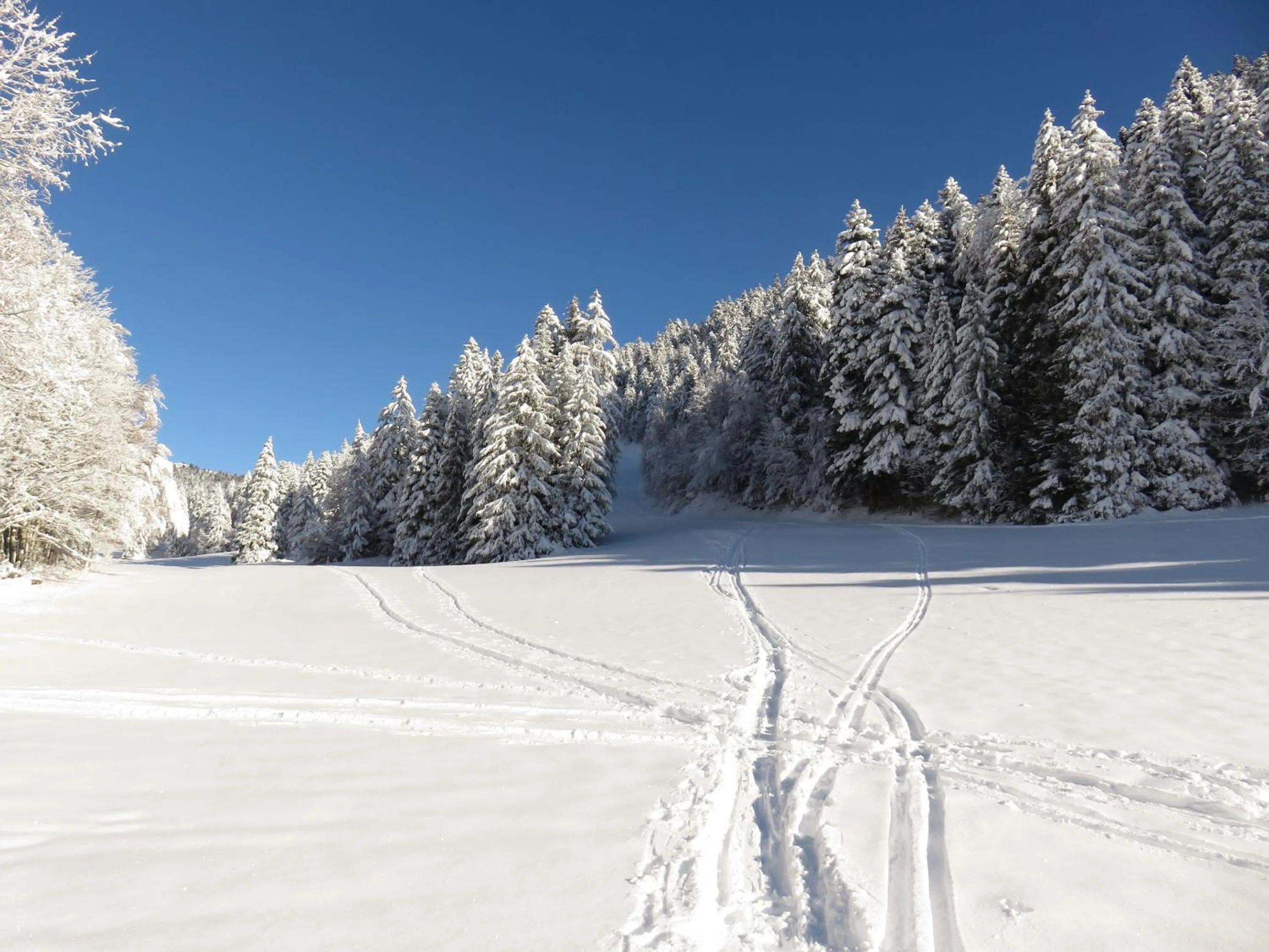 Property building in Gîte La Résilience, sur la piste de ski d'Autrans