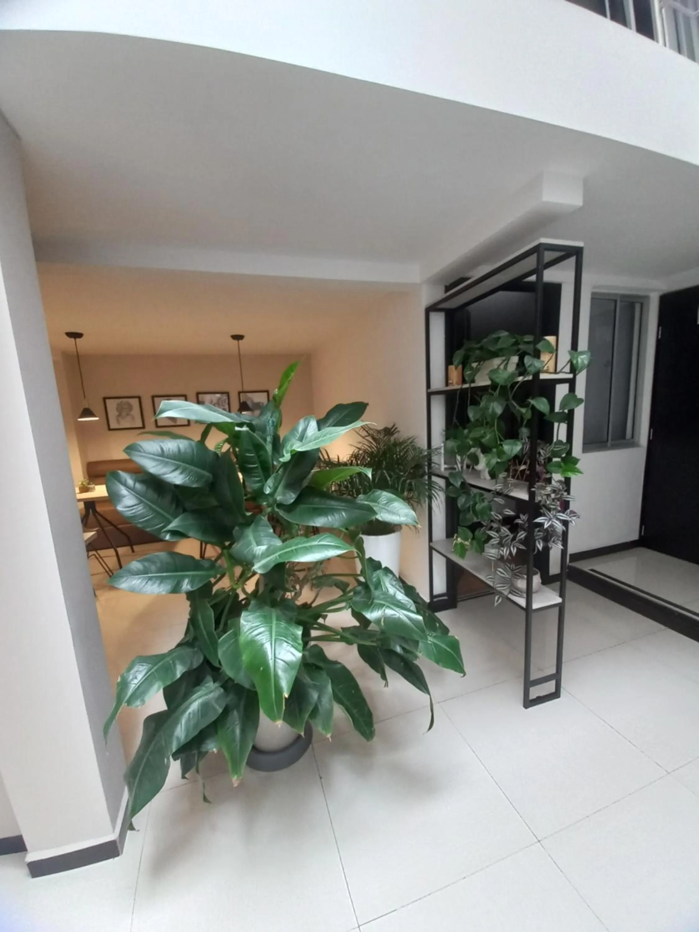 Area and facilities in HOTEL SANTORI