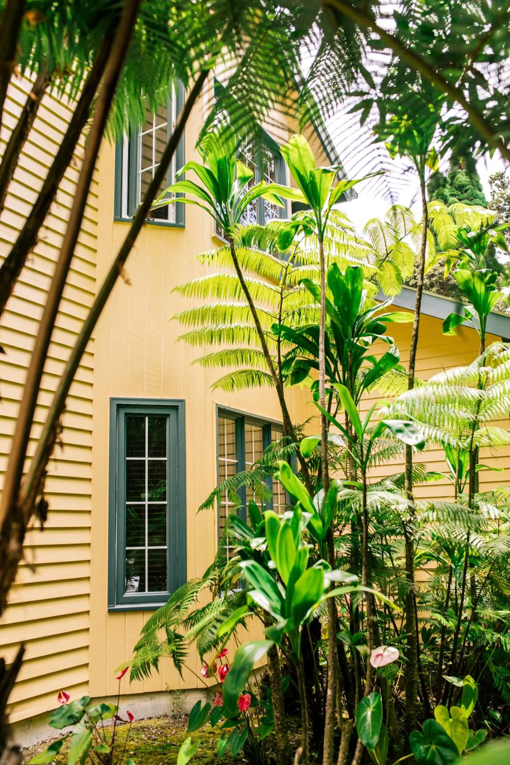 Property building in Kilauea Lodge and Restaurant