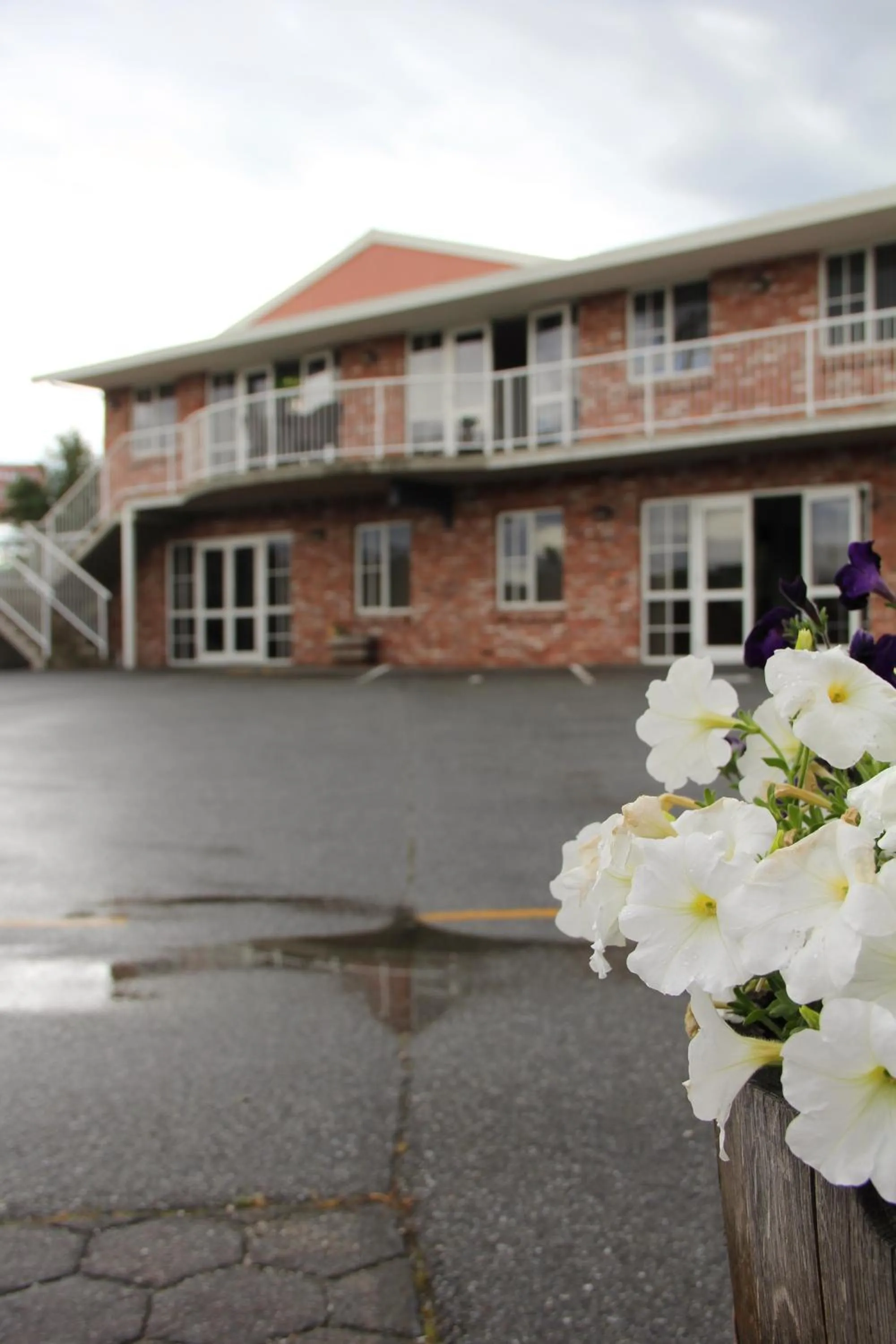Property building in Alexandra Heights Motel