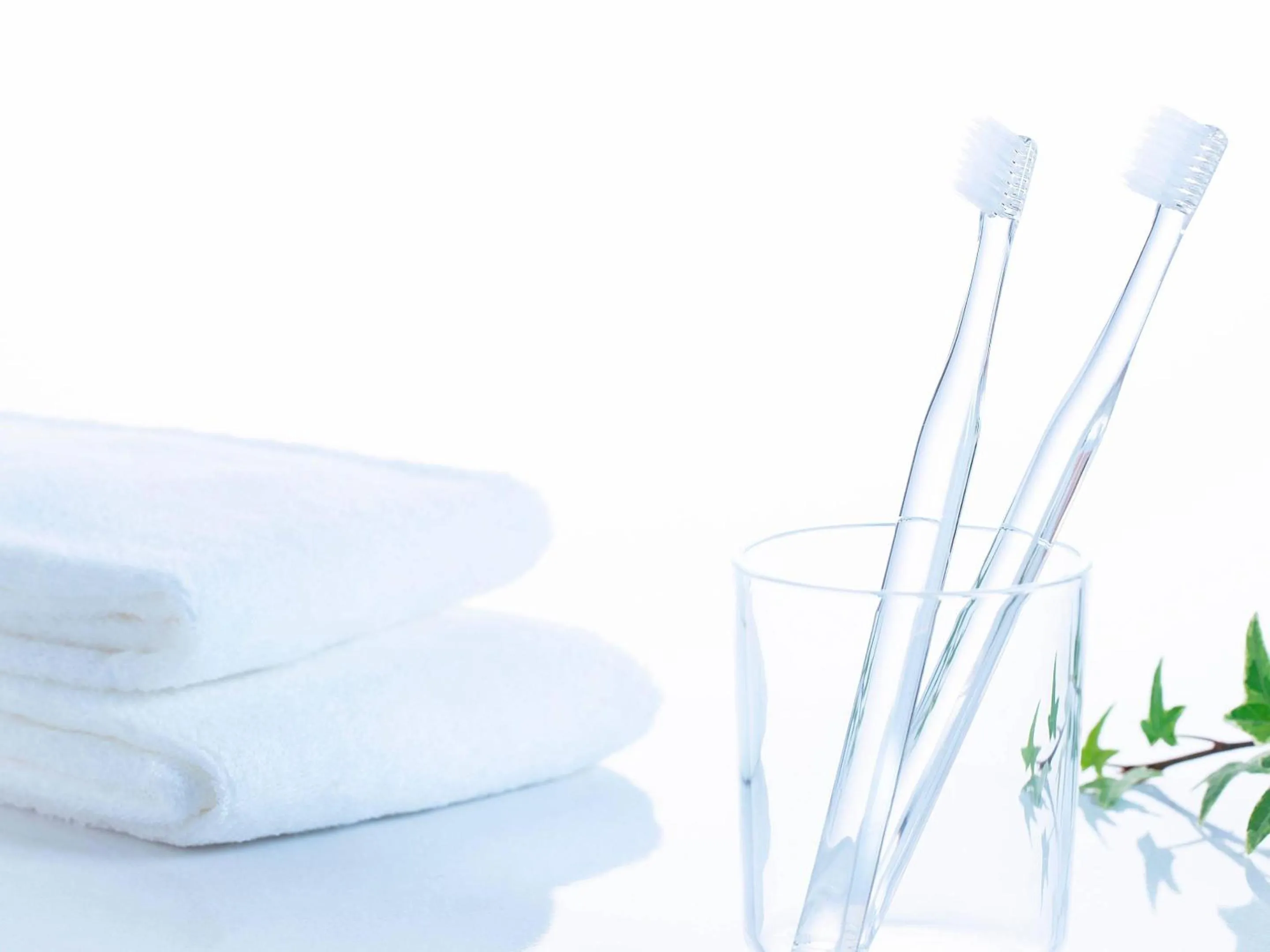 Other in Comfort Inn Yokaichi