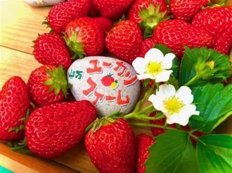 Nearby landmark in Wishton Hotel Yukari