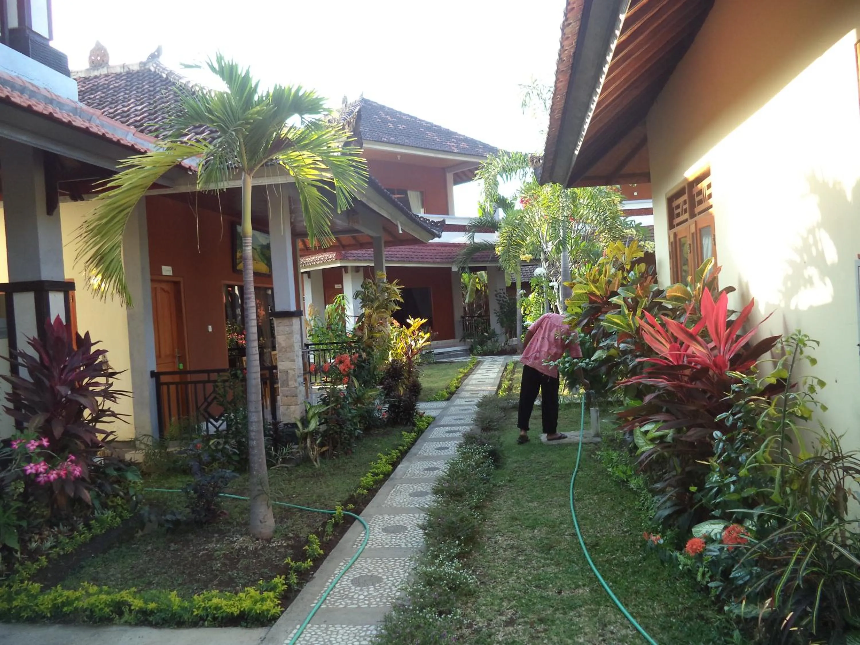 Garden in Hotel My Lovina