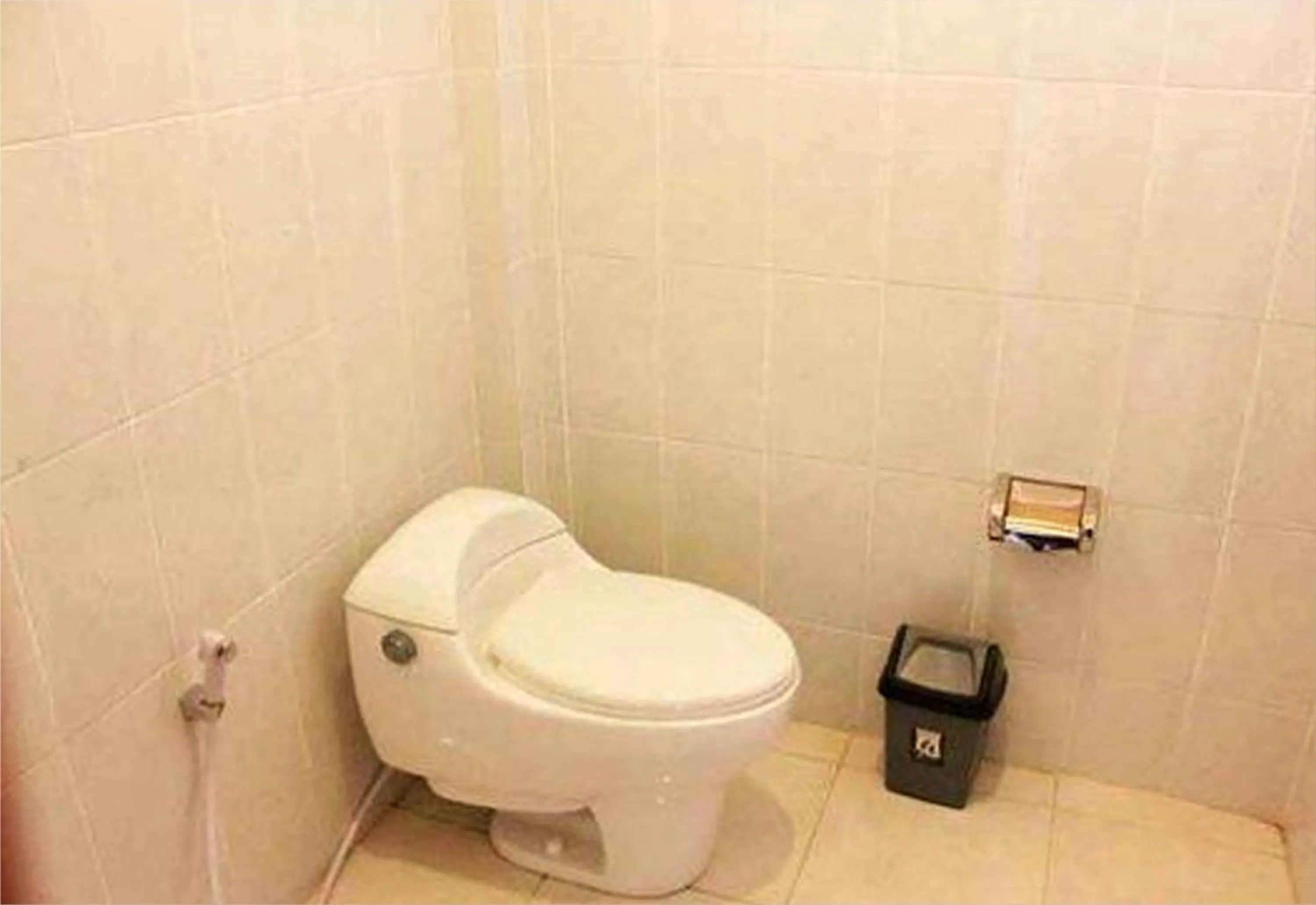 Toilet in Hotel My Lovina