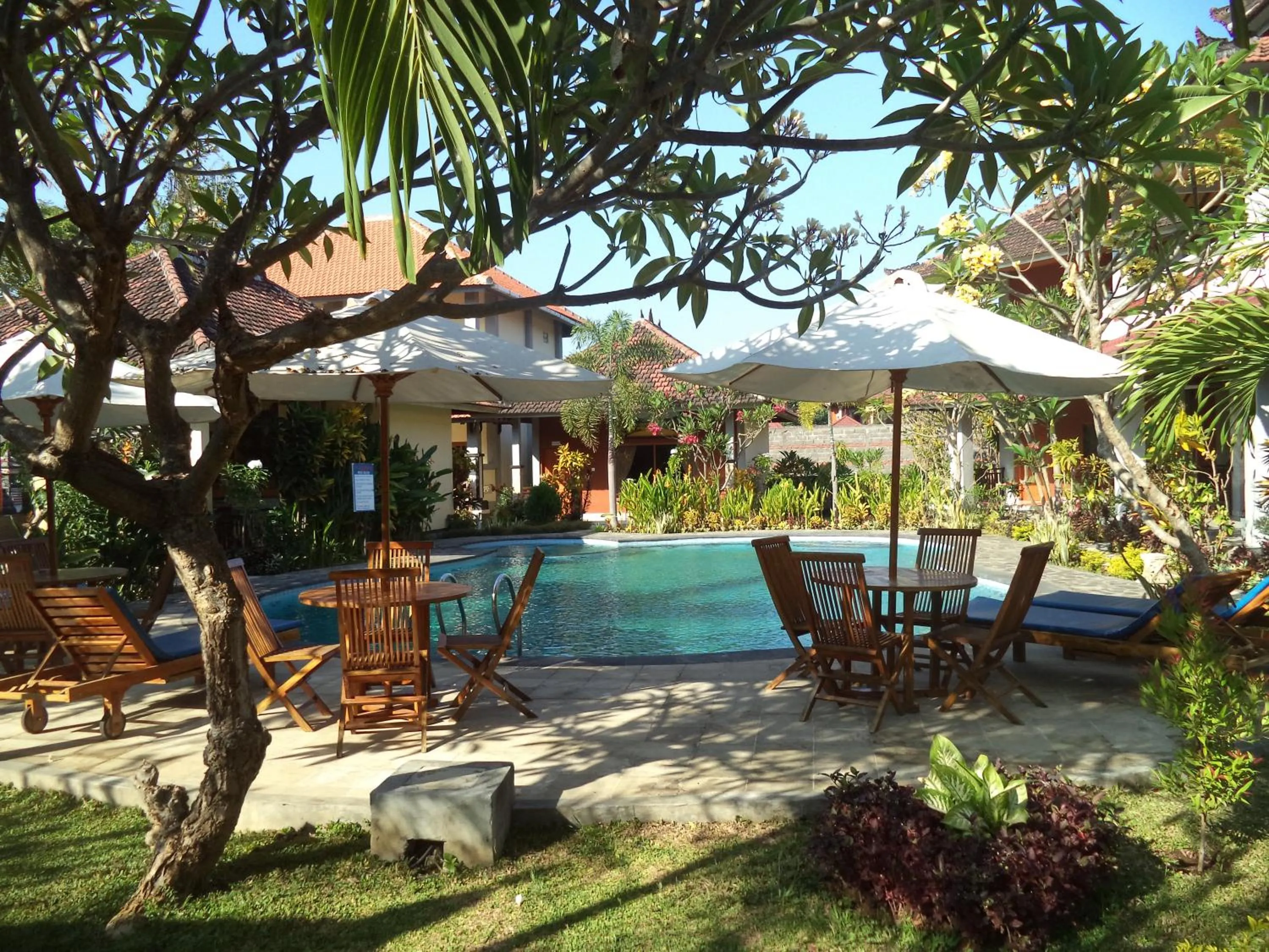 Swimming pool in Hotel My Lovina