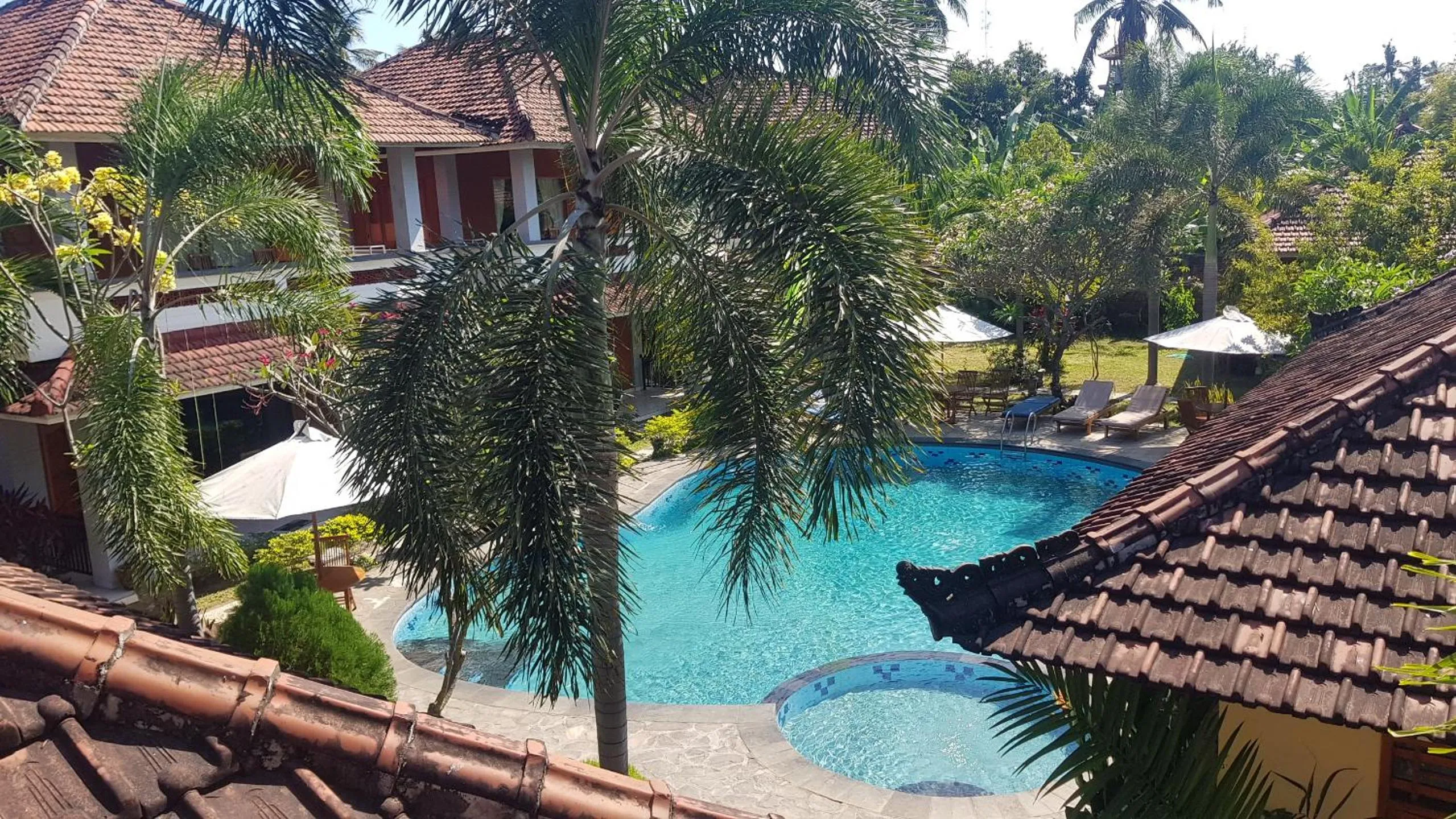 Pool view in Hotel My Lovina