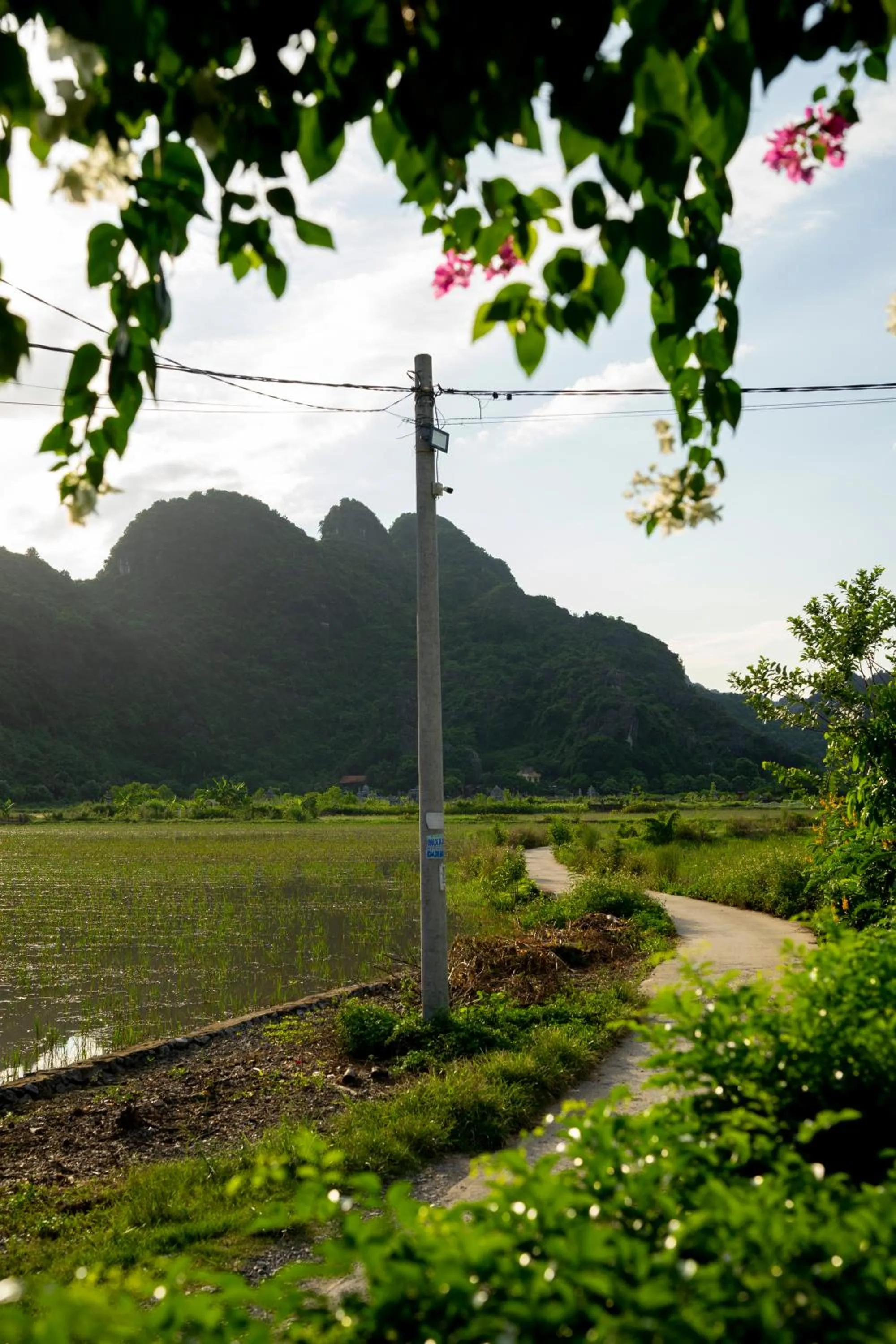 Natural landscape in Tam Coc Minh Hung Homestay