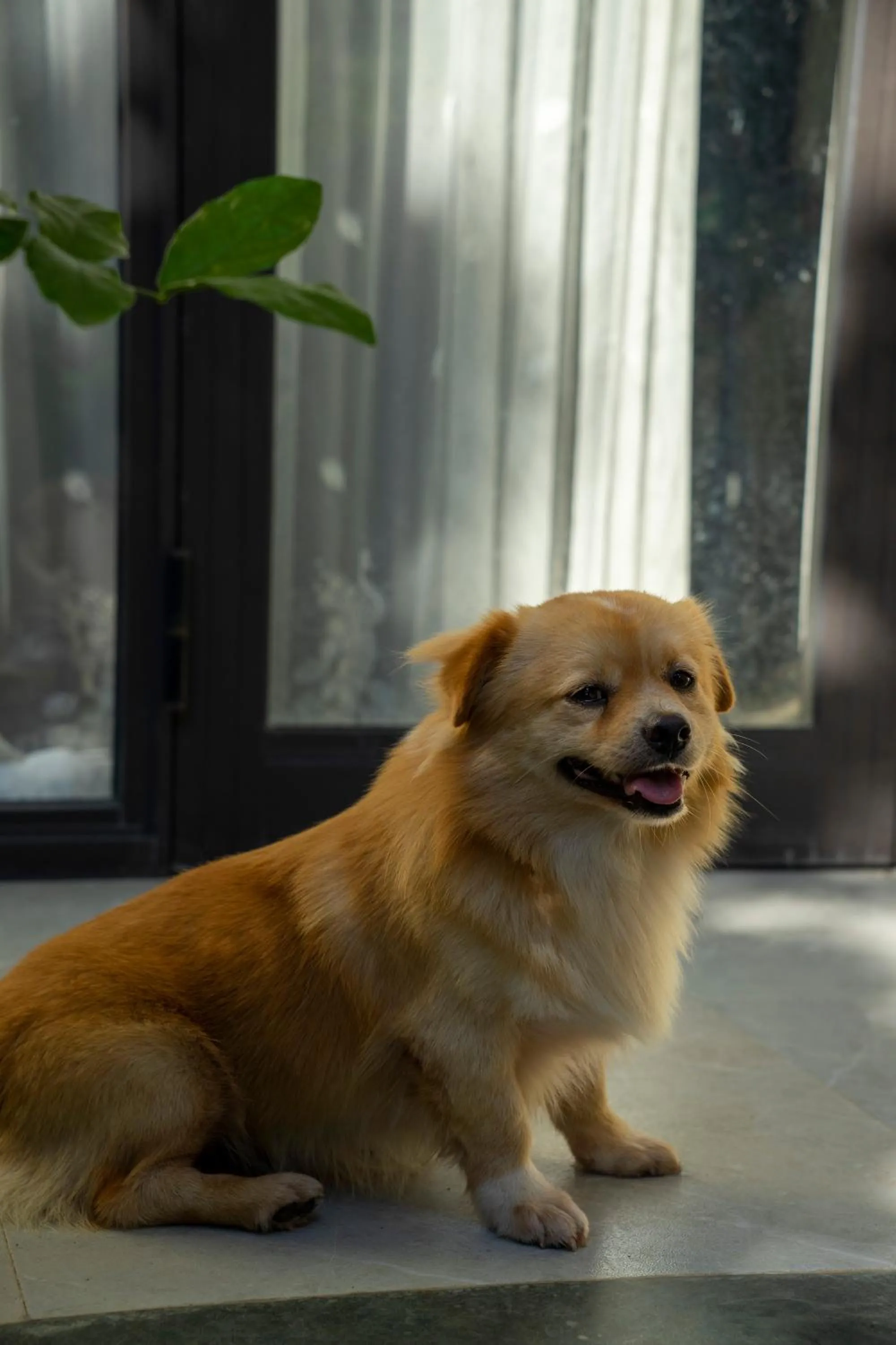 Off site in Tam Coc Minh Hung Homestay