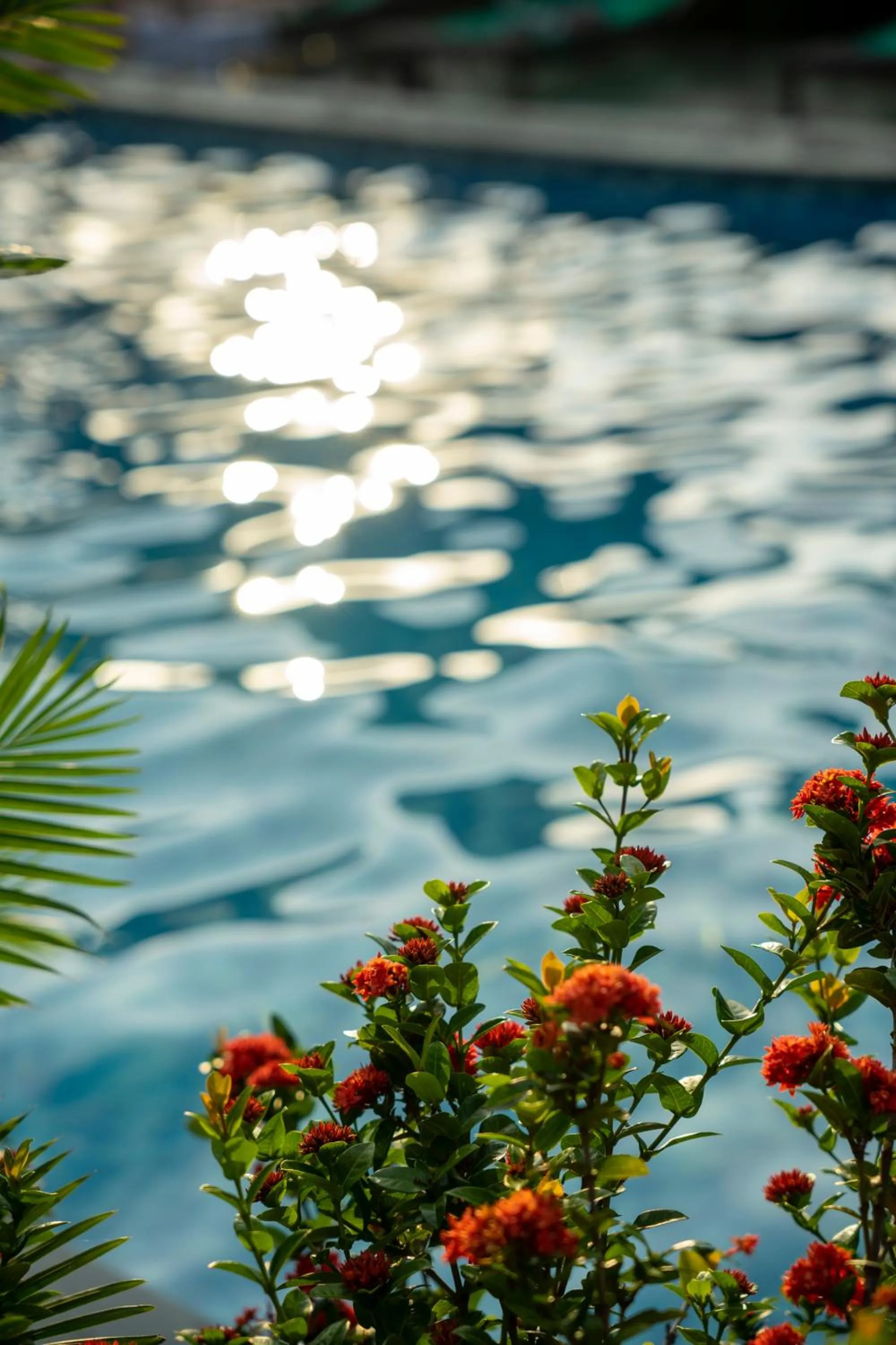 Natural landscape in Tam Coc Minh Hung Homestay