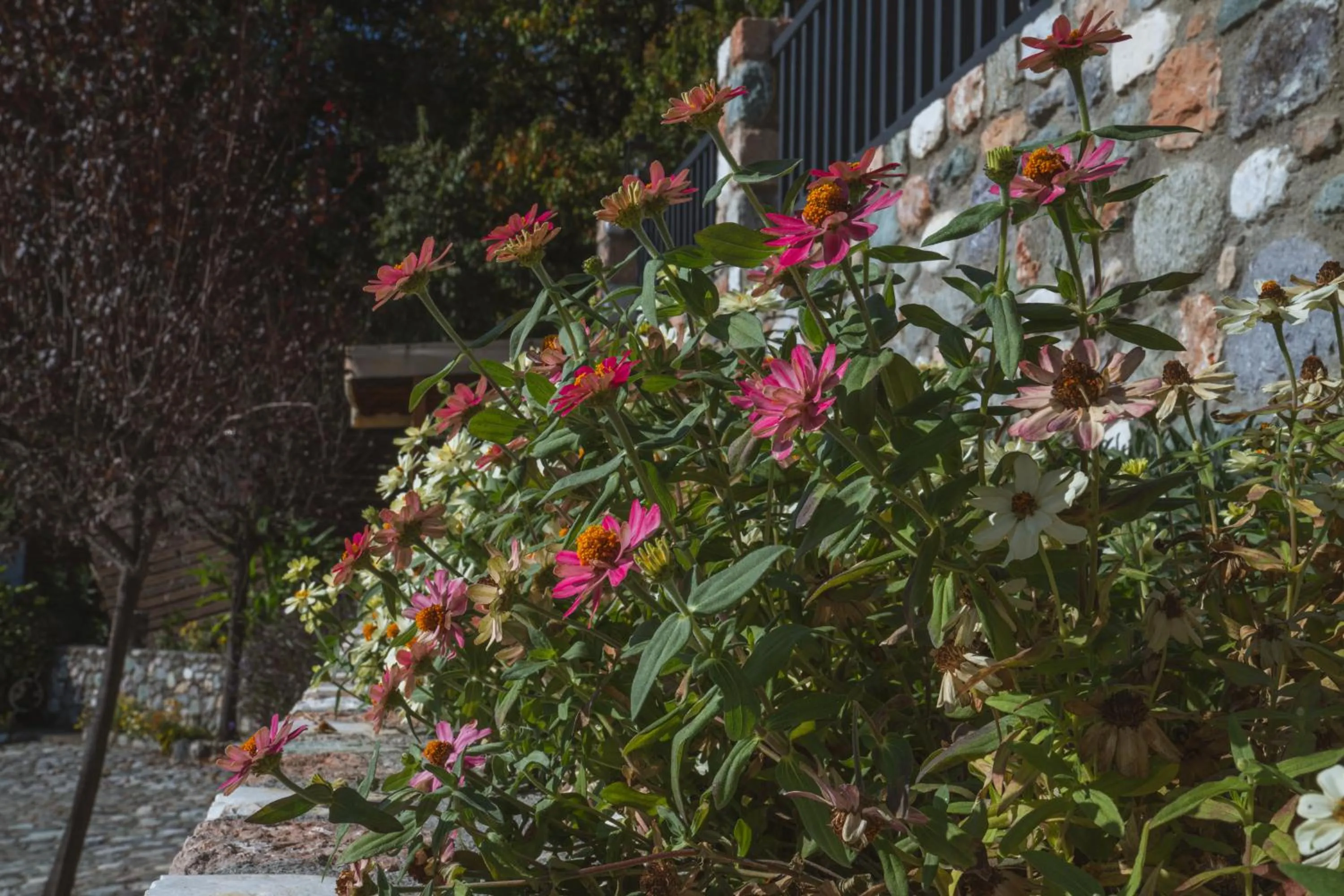 Alkyonis Hotel & Spa