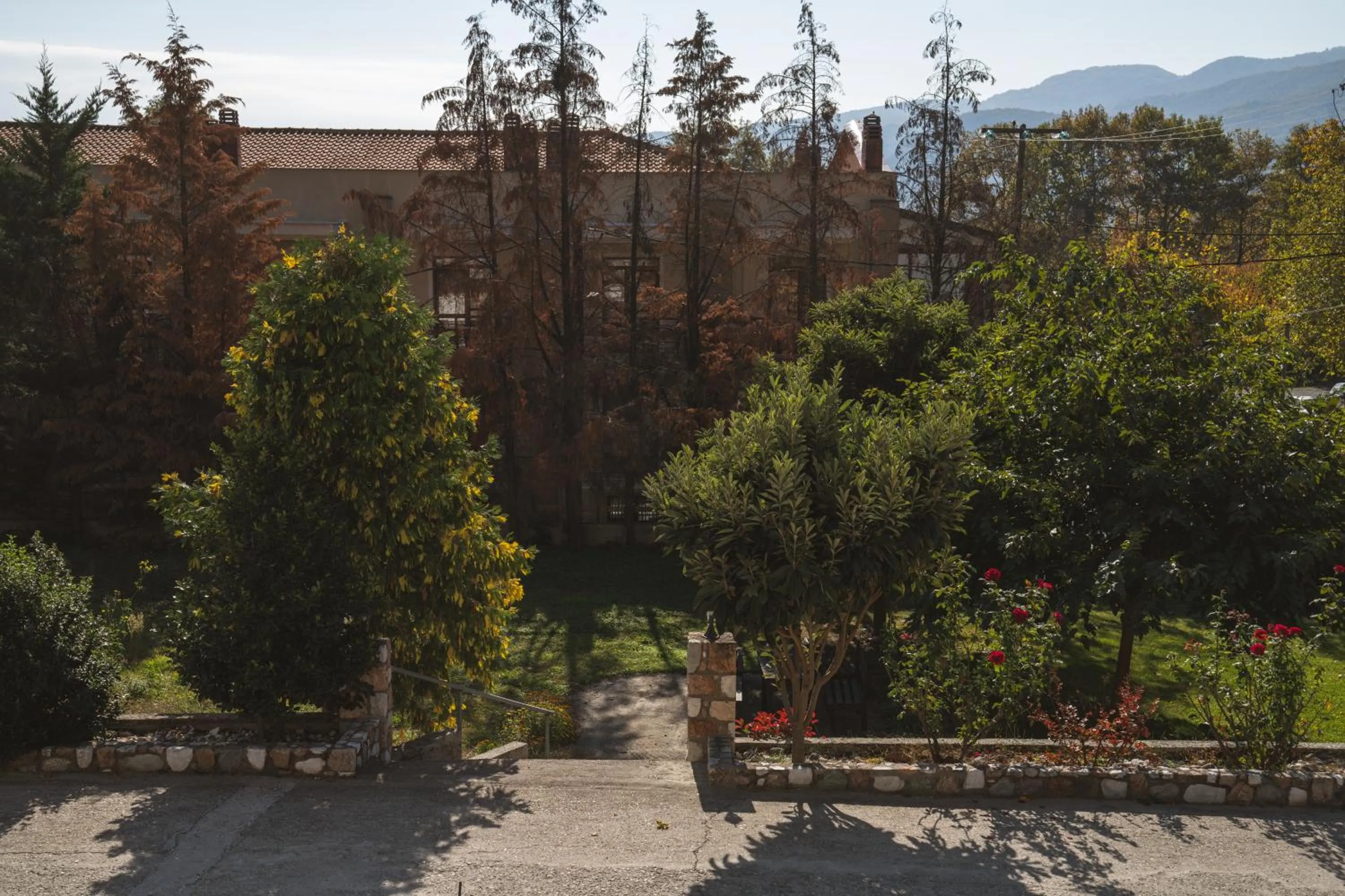 Alkyonis Hotel & Spa