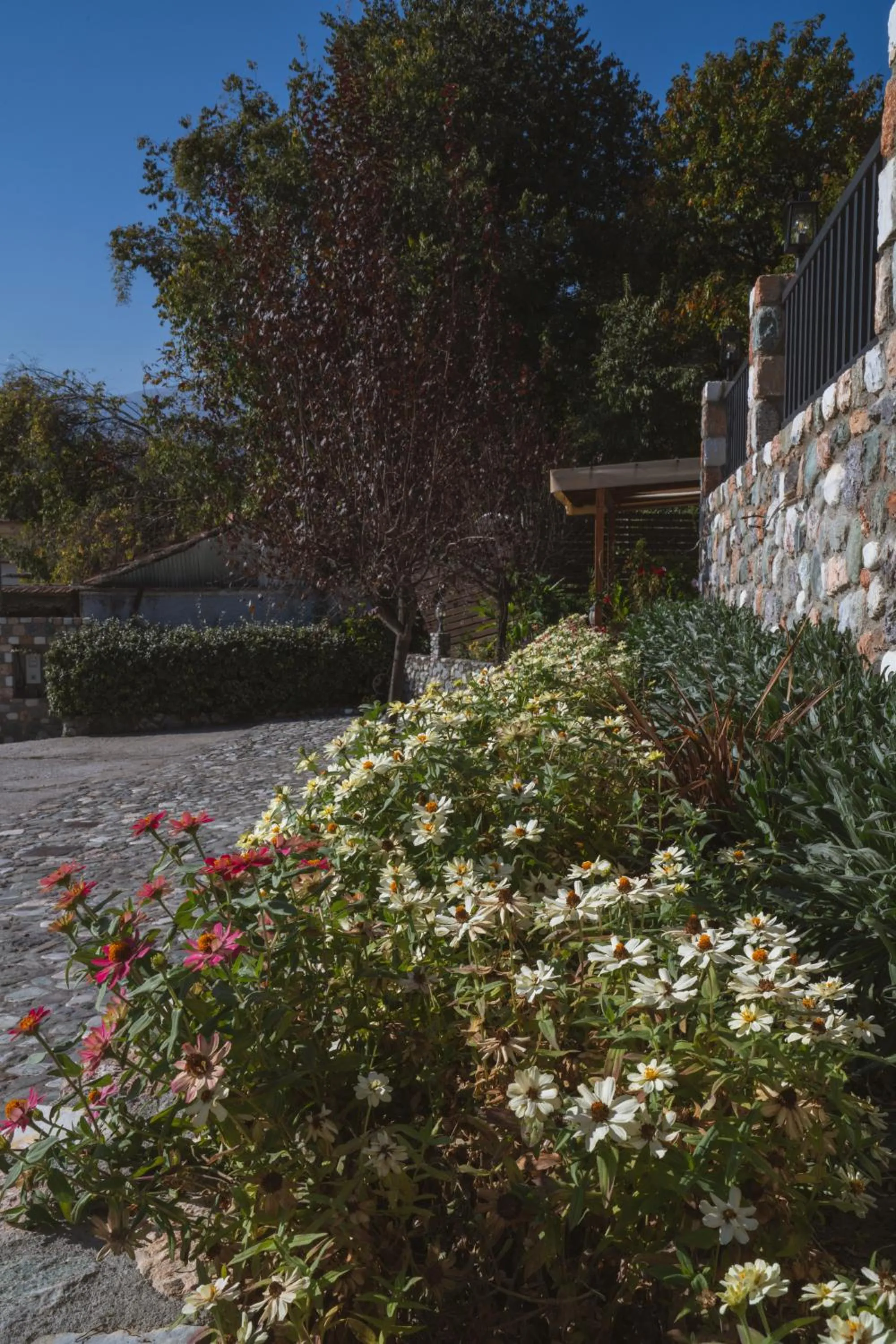 Alkyonis Hotel & Spa