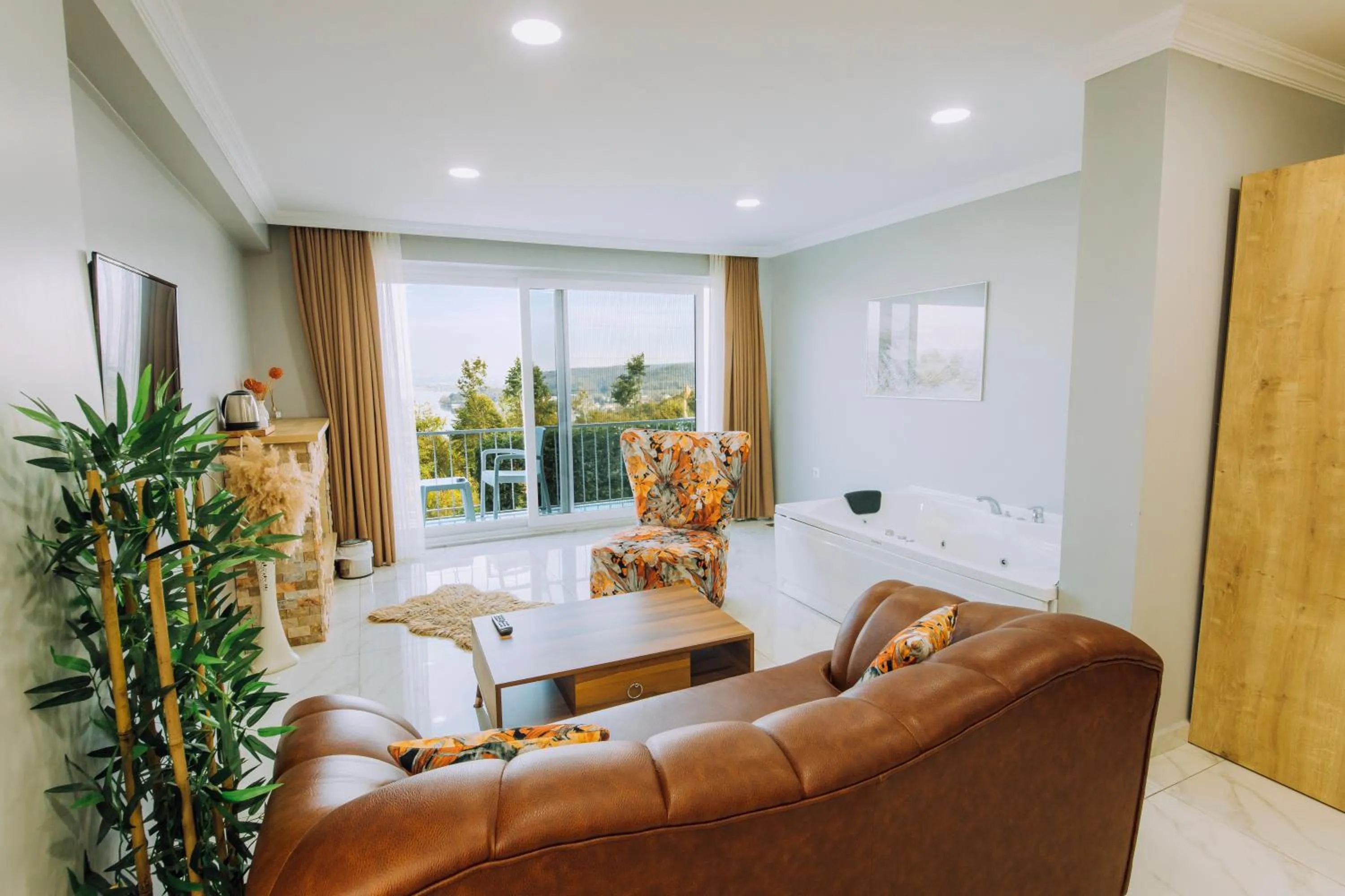 TV and multimedia in Sapanca View Hotel