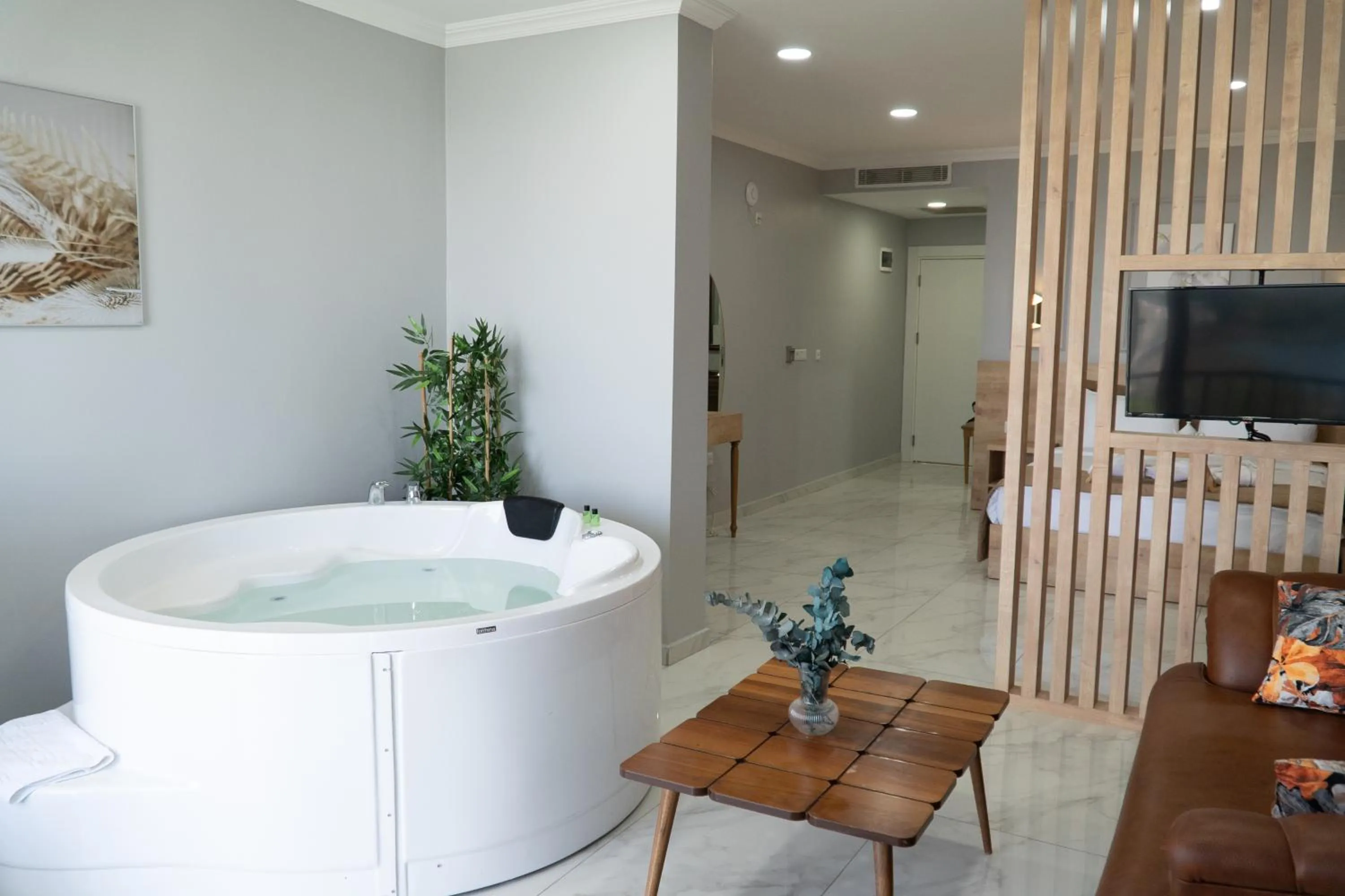 TV and multimedia in Sapanca View Hotel