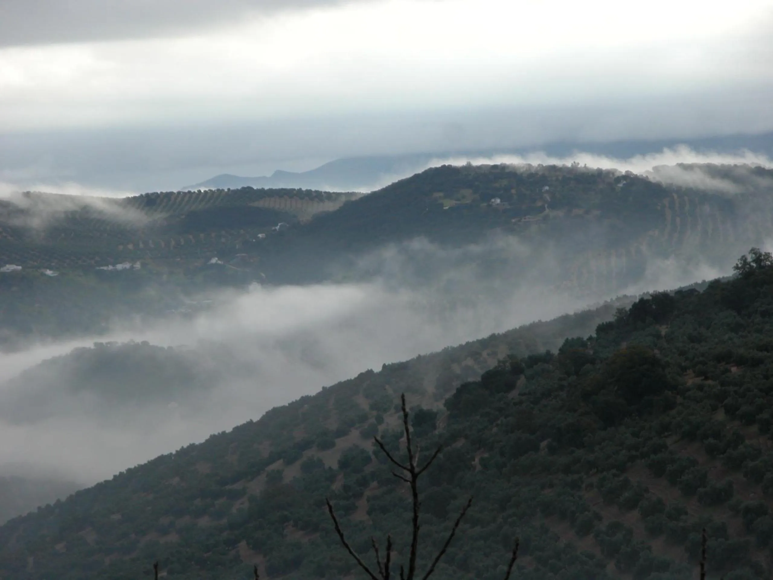 Area and facilities in Cortijo La Haza