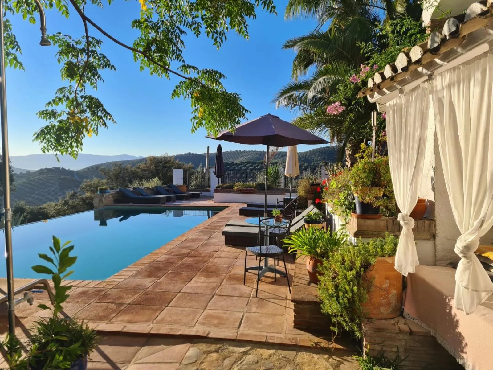 Garden in Cortijo La Haza