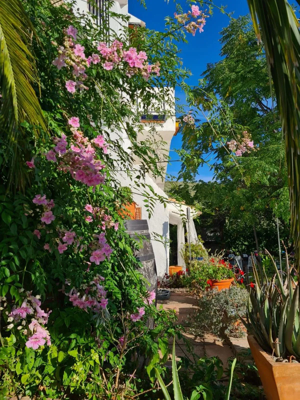 Property building in Cortijo La Haza